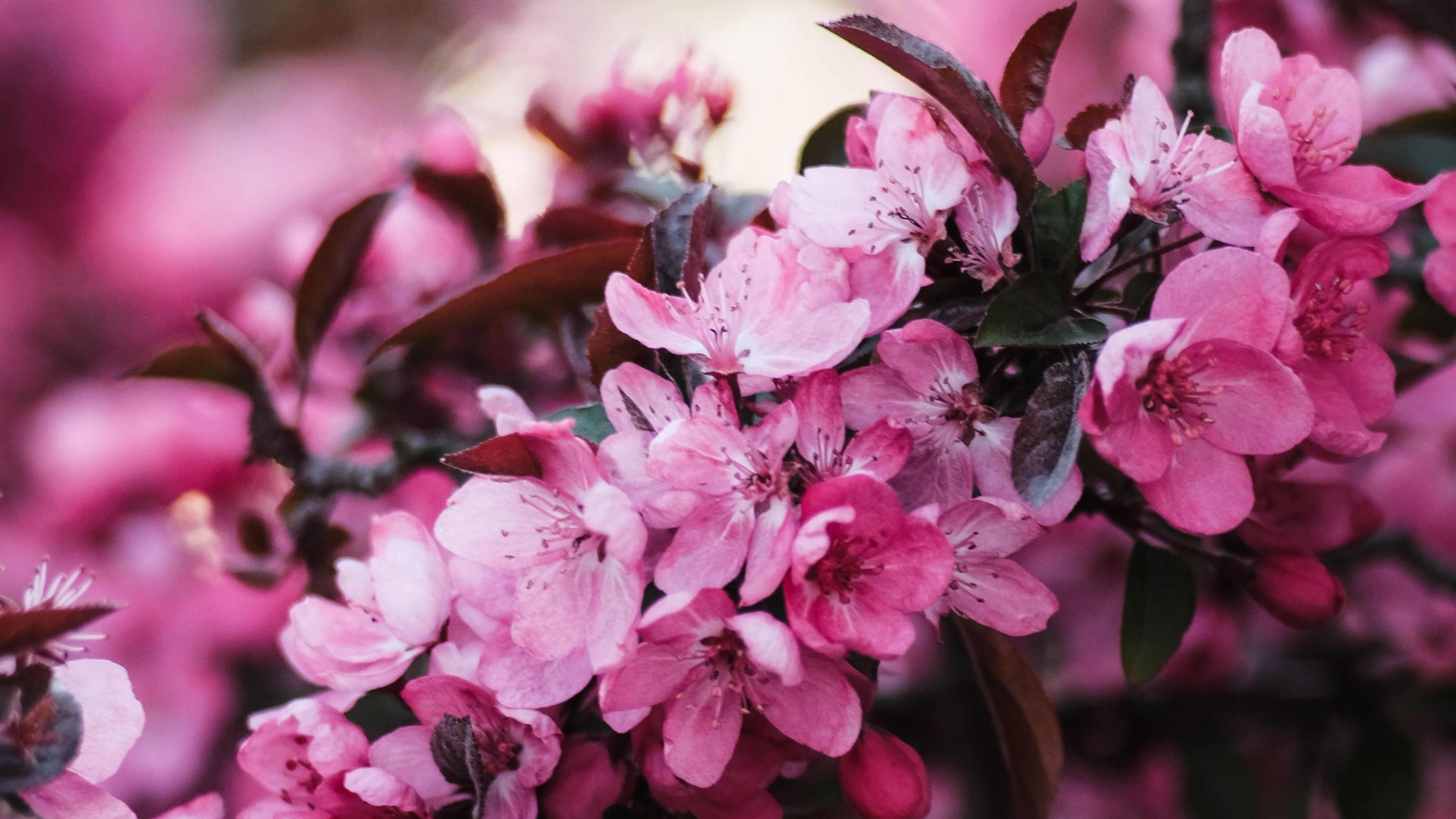 16 мая – какой сегодня праздник и что нельзя делать, именины 16 мая – какой сегодня праздник и что нельзя делать, именины