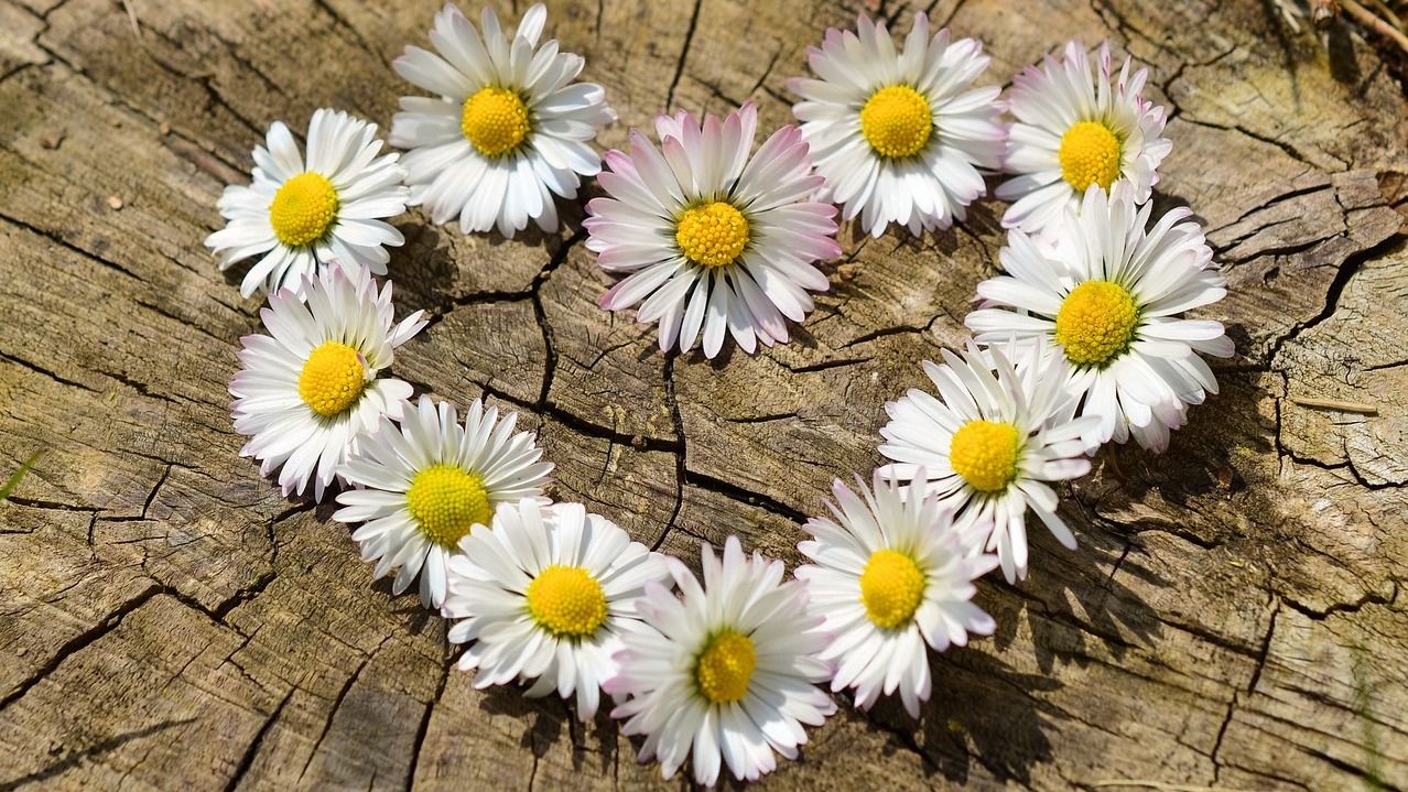 Любовный гороскоп – каким знакам зодиака не повезет в любви летом Любовный гороскоп – каким знакам зодиака не повезет в любви летом