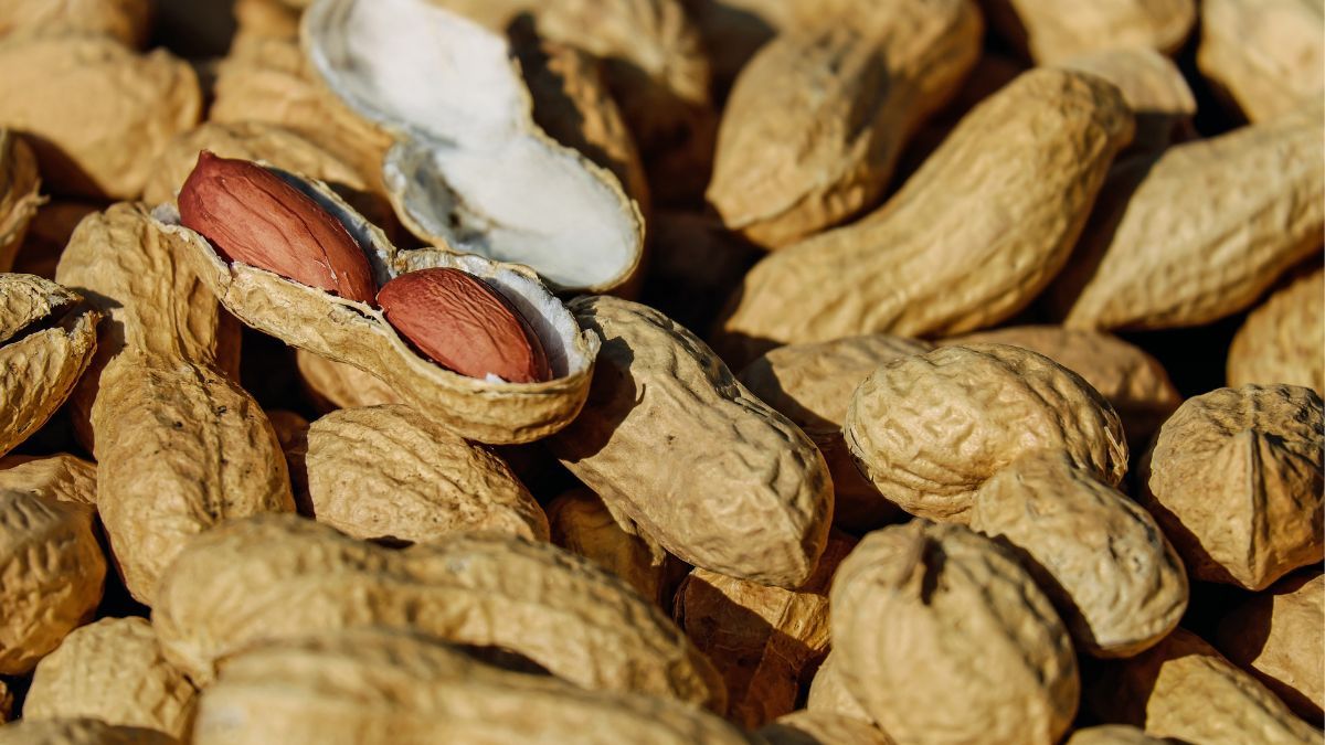 Как правильно сажать арахис