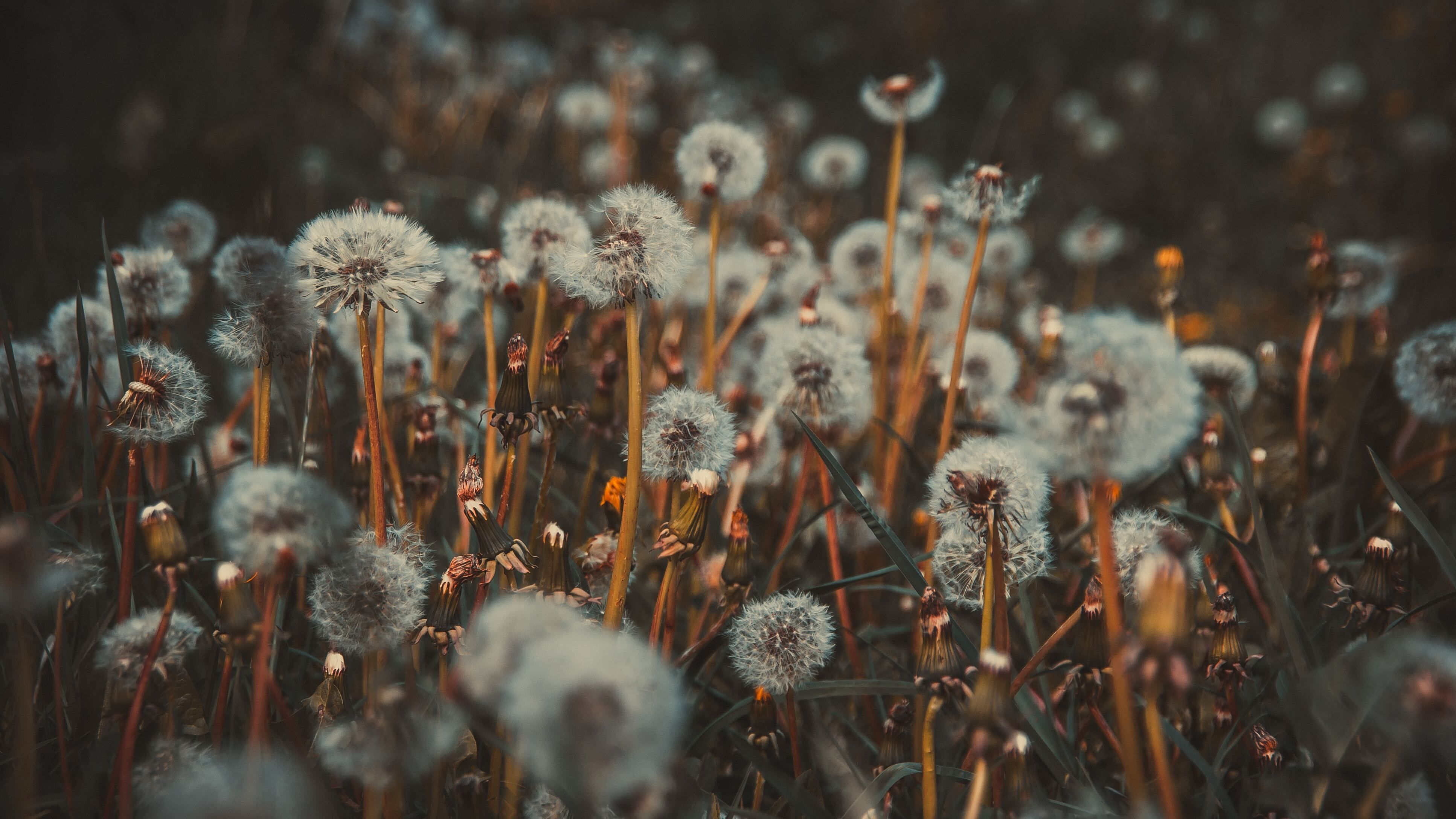 17 травня 2023 - яке сьогодні церковне свято і що не можна робити 17 травня 2023 - яке сьогодні церковне свято і що не можна робити