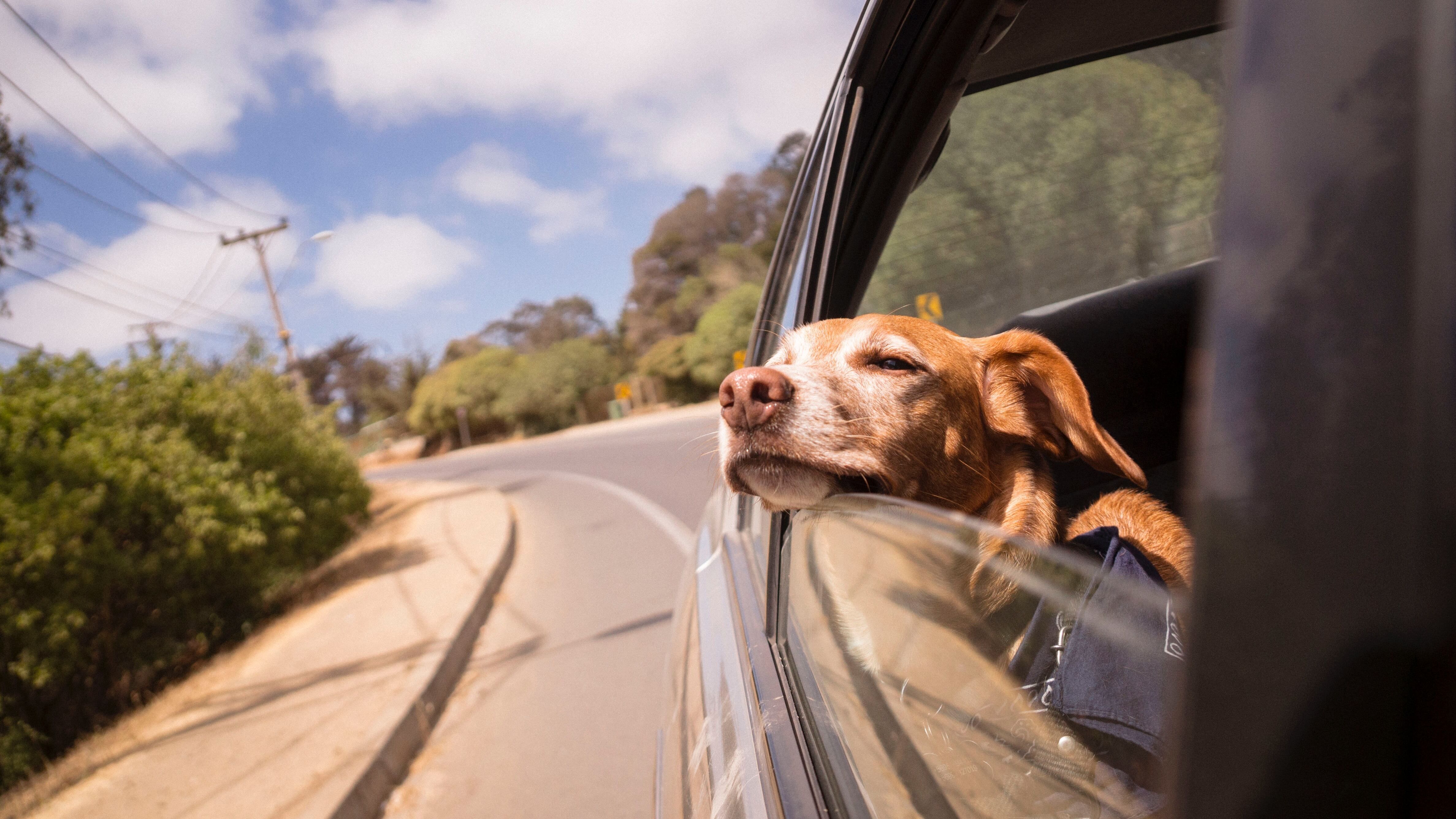 Гороскоп на тиждень - труднощі підуть з життя цих знаків зодіаку Гороскоп на тиждень - труднощі підуть з життя цих знаків зодіаку