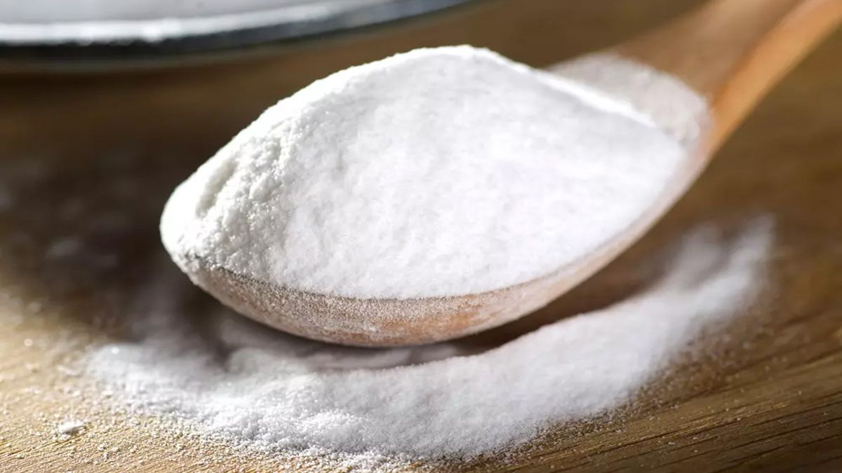 Користь і шкода бурштинової кислоти для рослин Користь і шкода бурштинової кислоти для рослин