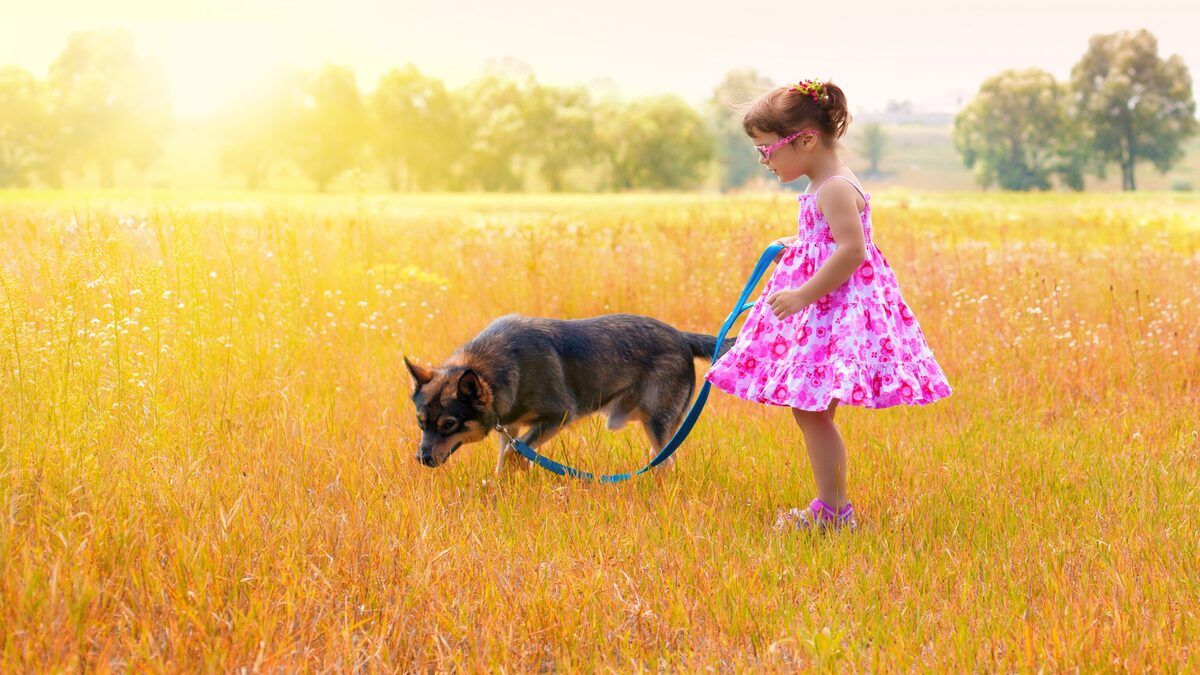Имена, означающие свет Имена, означающие свет