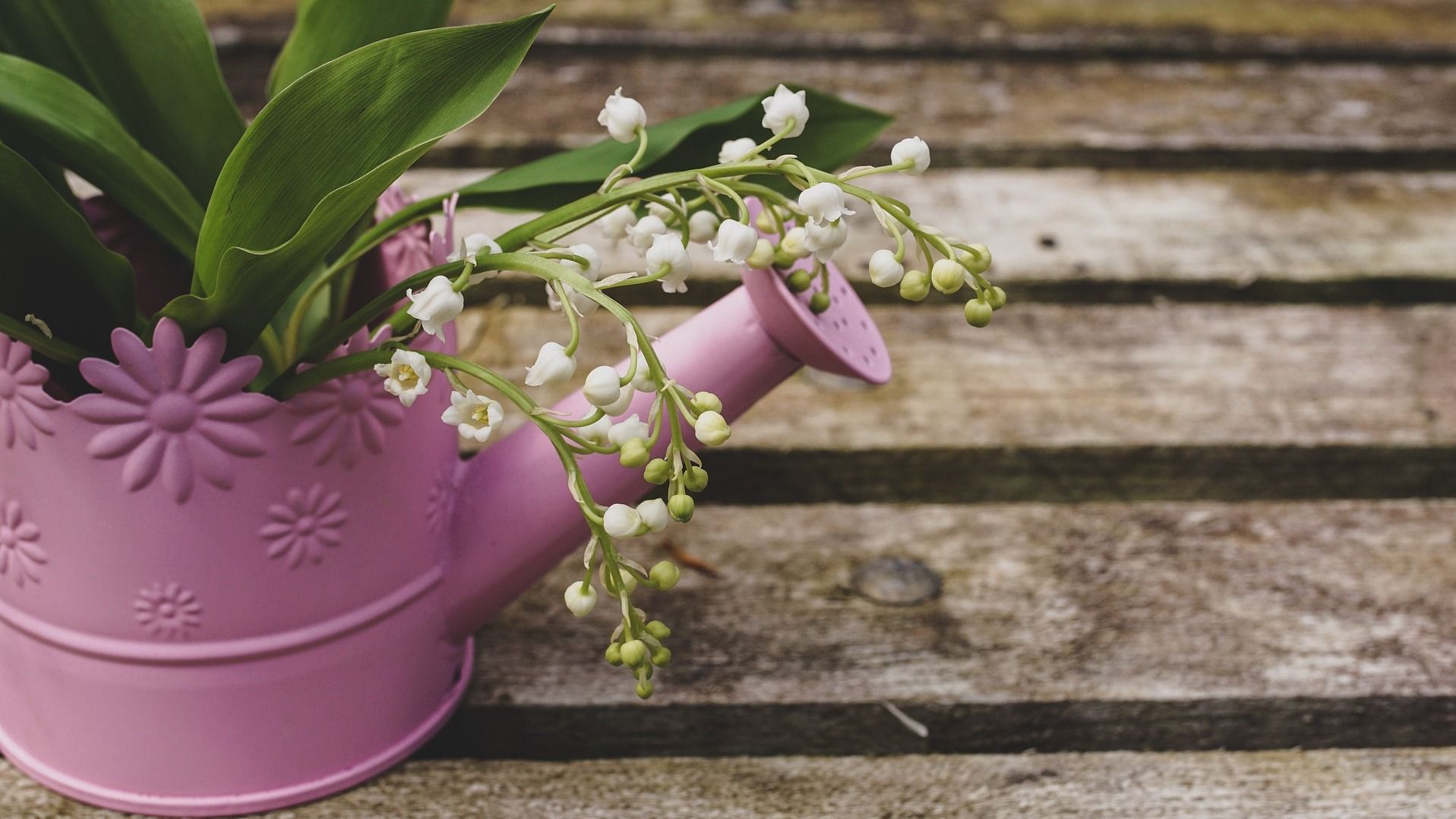 Яке свято 30 травня Яке свято 30 травня