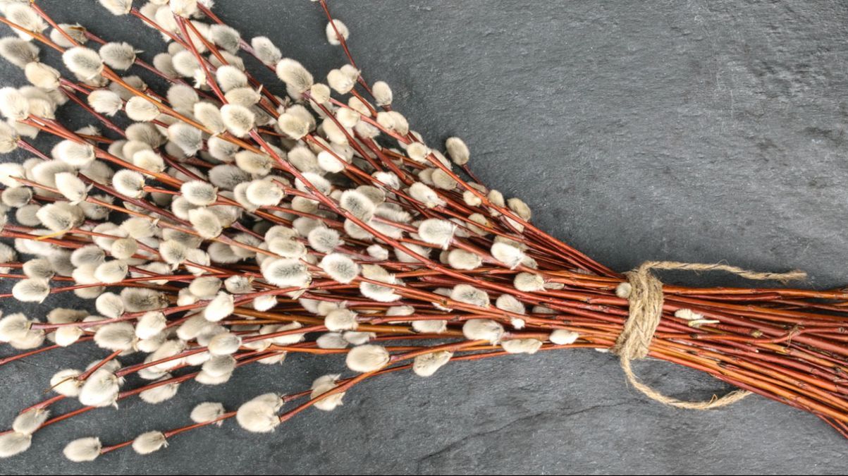 Коли Вербна неділя у 2024 році - дата Коли Вербна неділя у 2024 році - дата