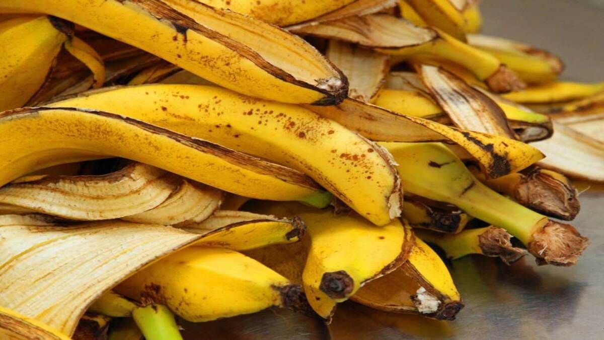 Як використовувати шкірку банана на городі