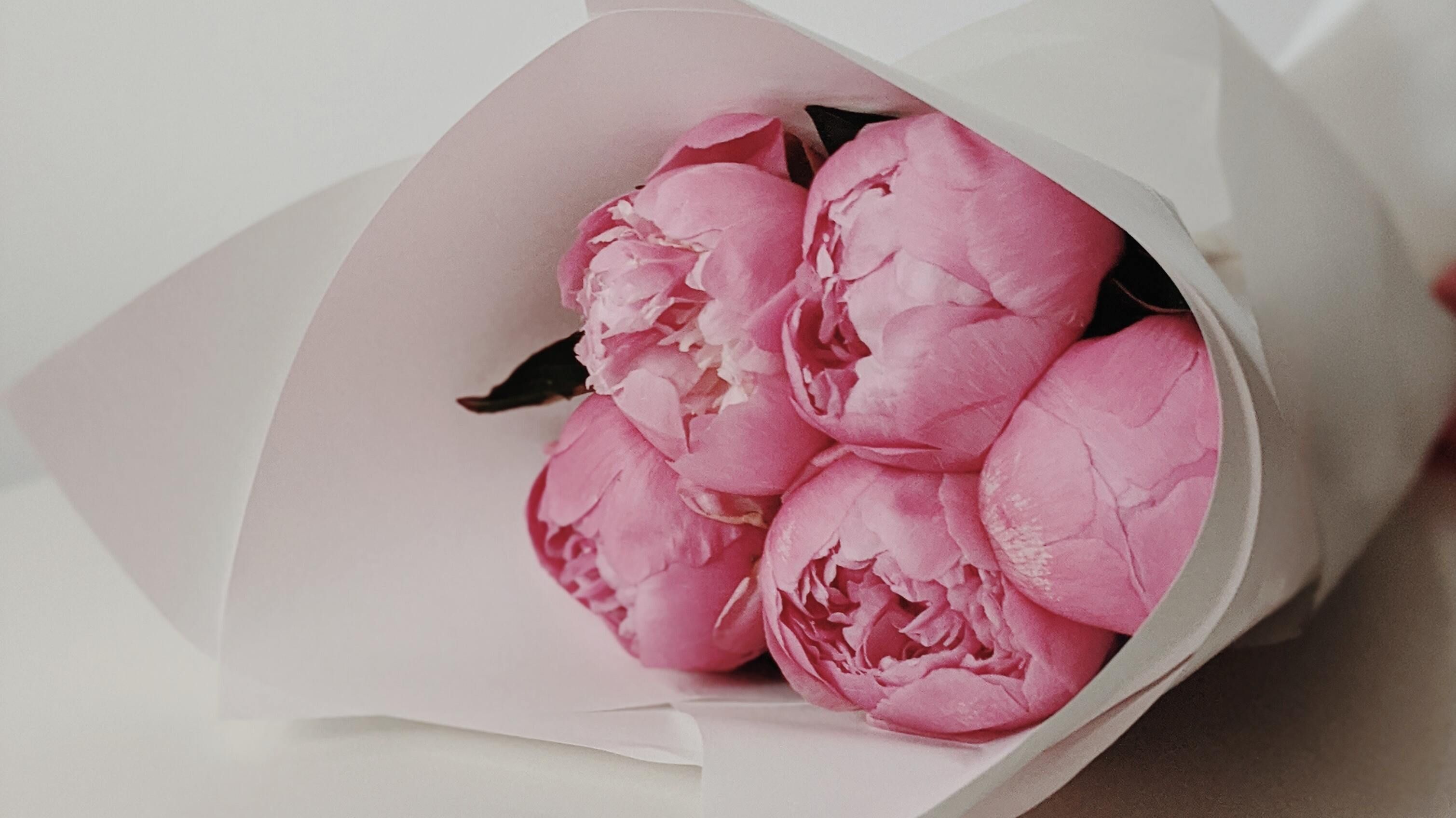 Какие знаки зодиака изменяют Какие знаки зодиака изменяют