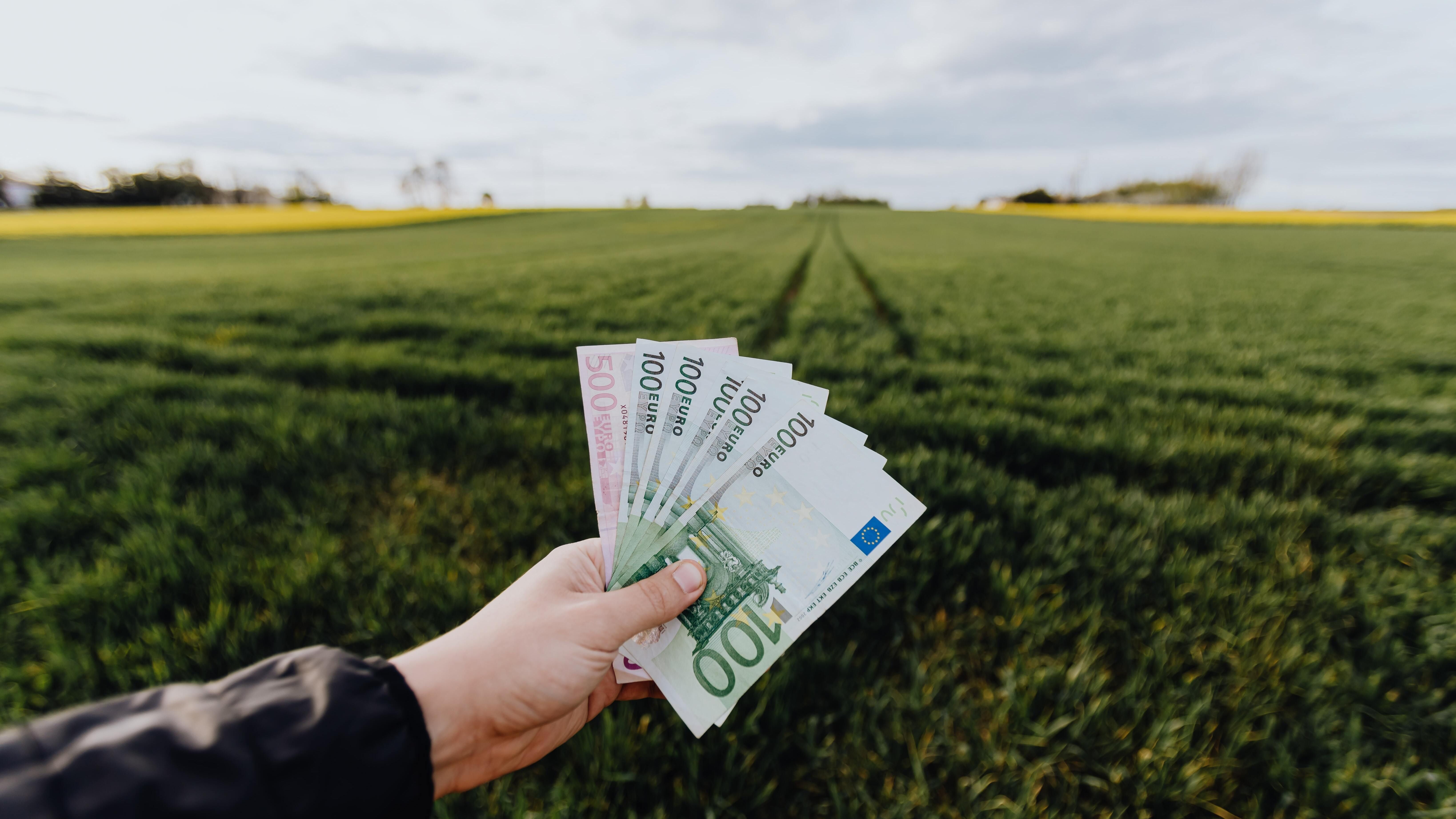 Які знаки зодіаку багаті Які знаки зодіаку багаті