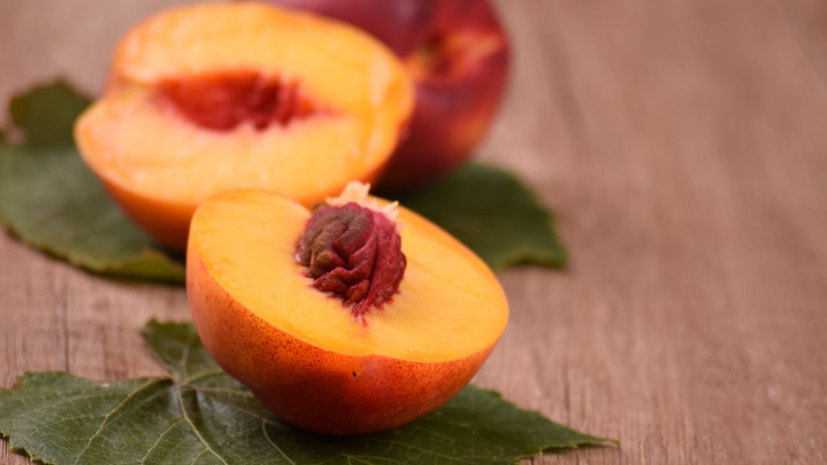 Как вырастить персик из косточки