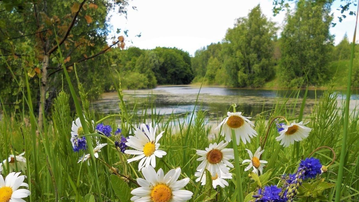 Петрів піст 2023 - дата, традиції, заборони Петрів піст 2023 - дата, традиції, заборони