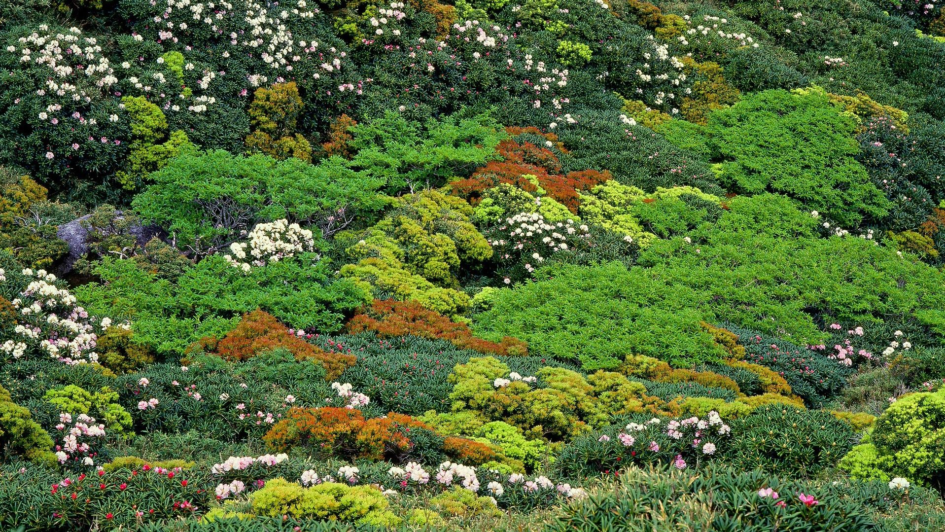 Яке свято 11 червня Яке свято 11 червня