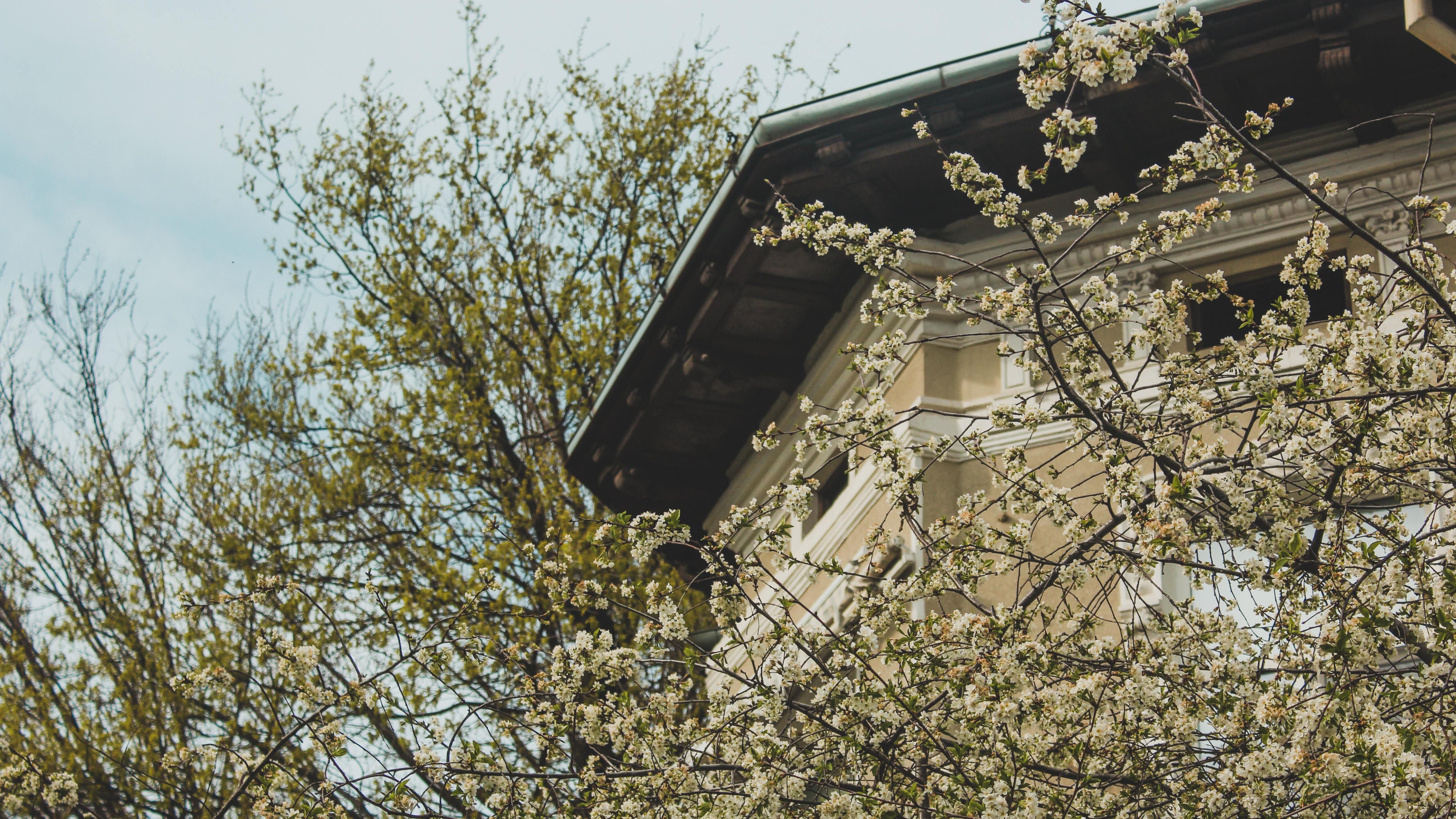 Какой праздник 12 июня Какой праздник 12 июня