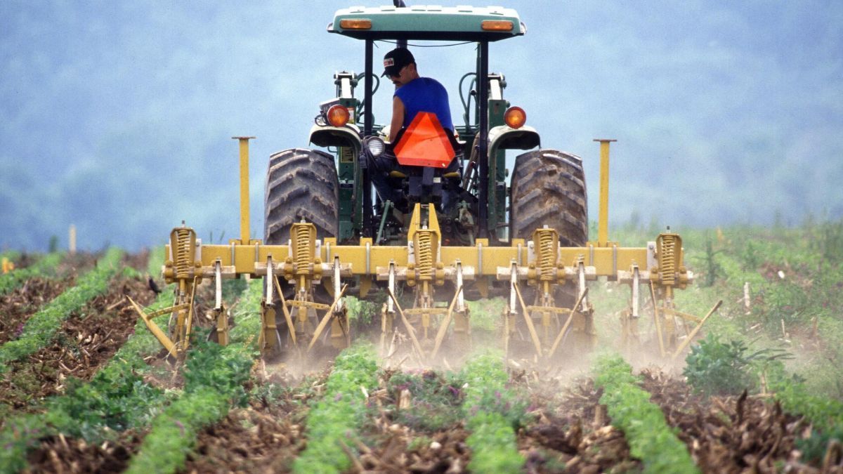 Поздравления с Днем фермера в прозе и стихах Поздравления с Днем фермера в прозе и стихах