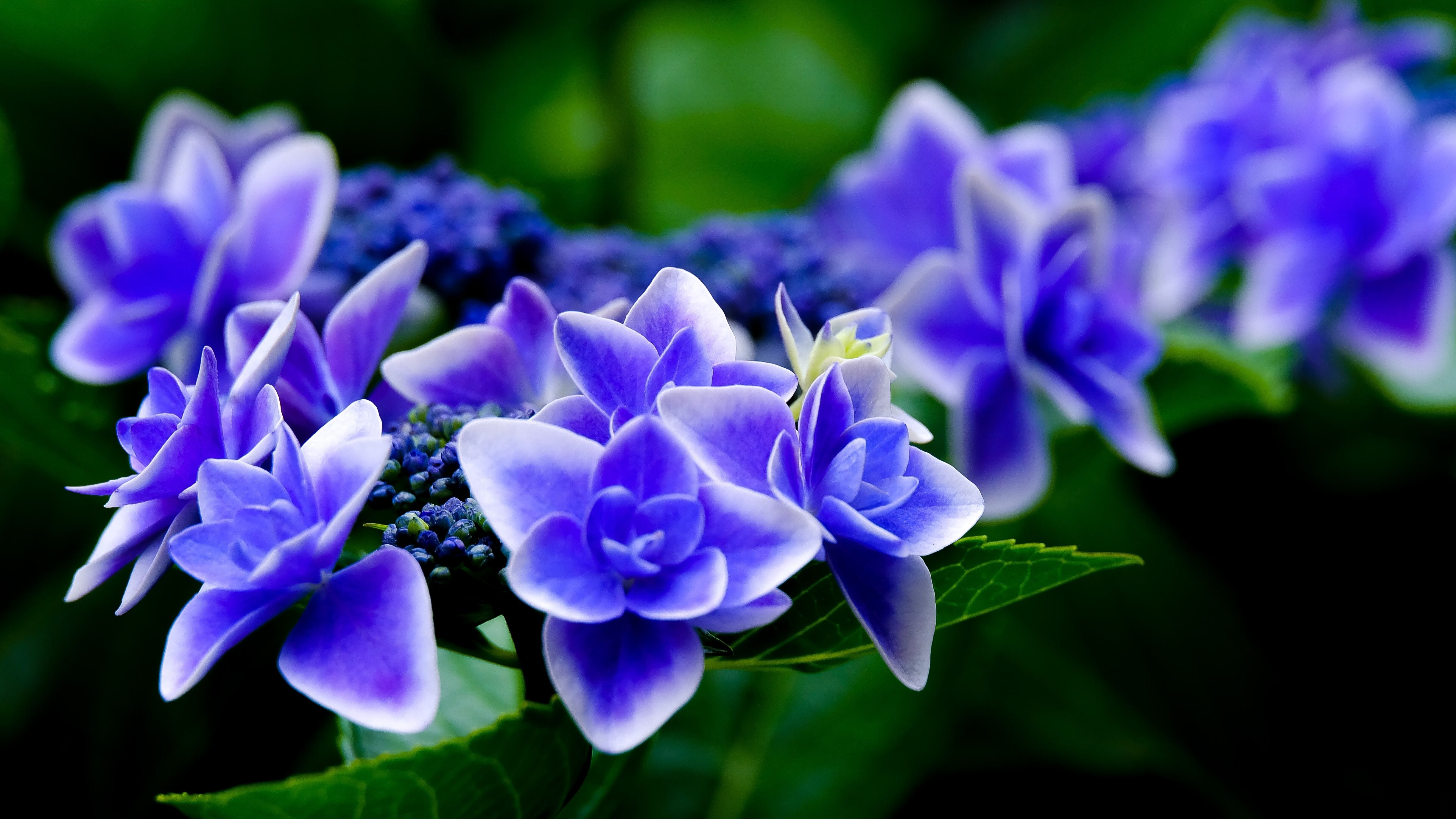 Яке свято 19 червня Яке свято 19 червня