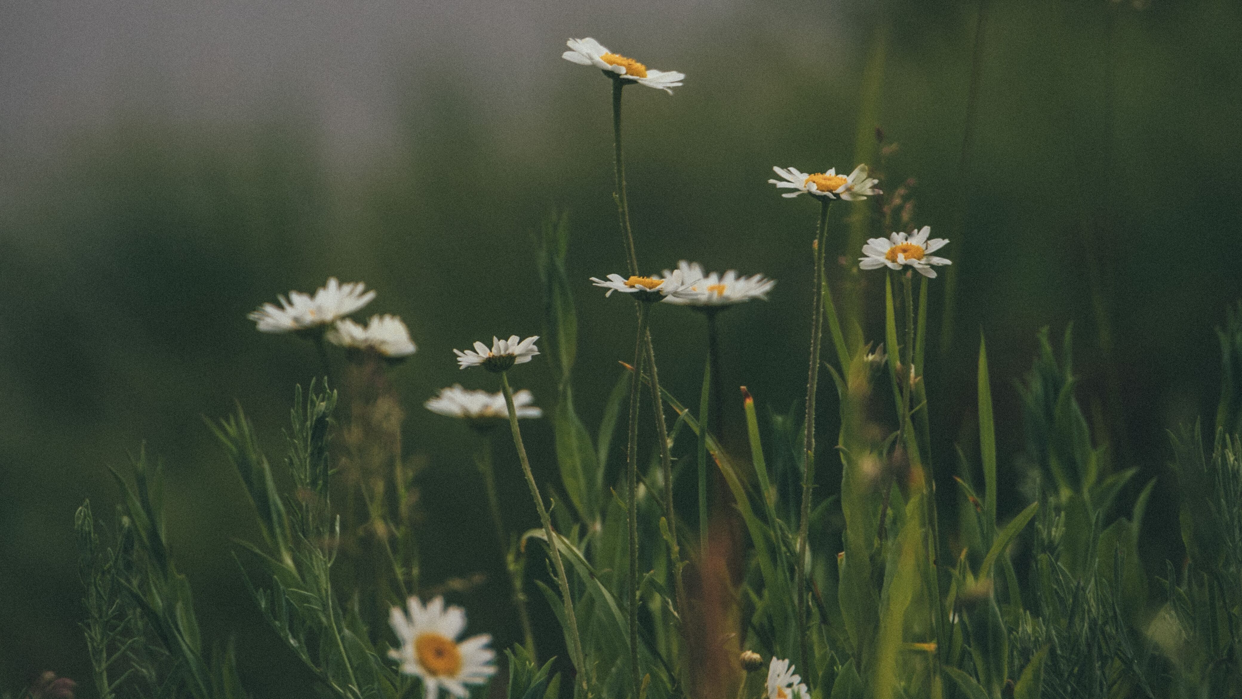 Какой праздник 20 июня Какой праздник 20 июня
