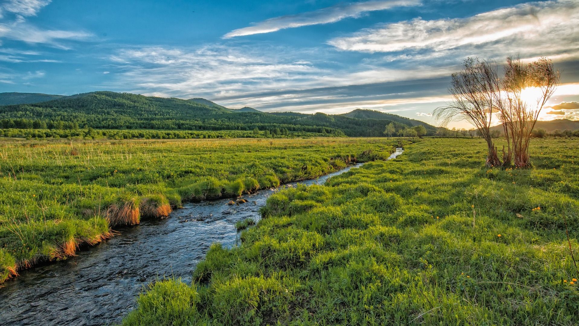 Яке свято 22 червня Яке свято 22 червня