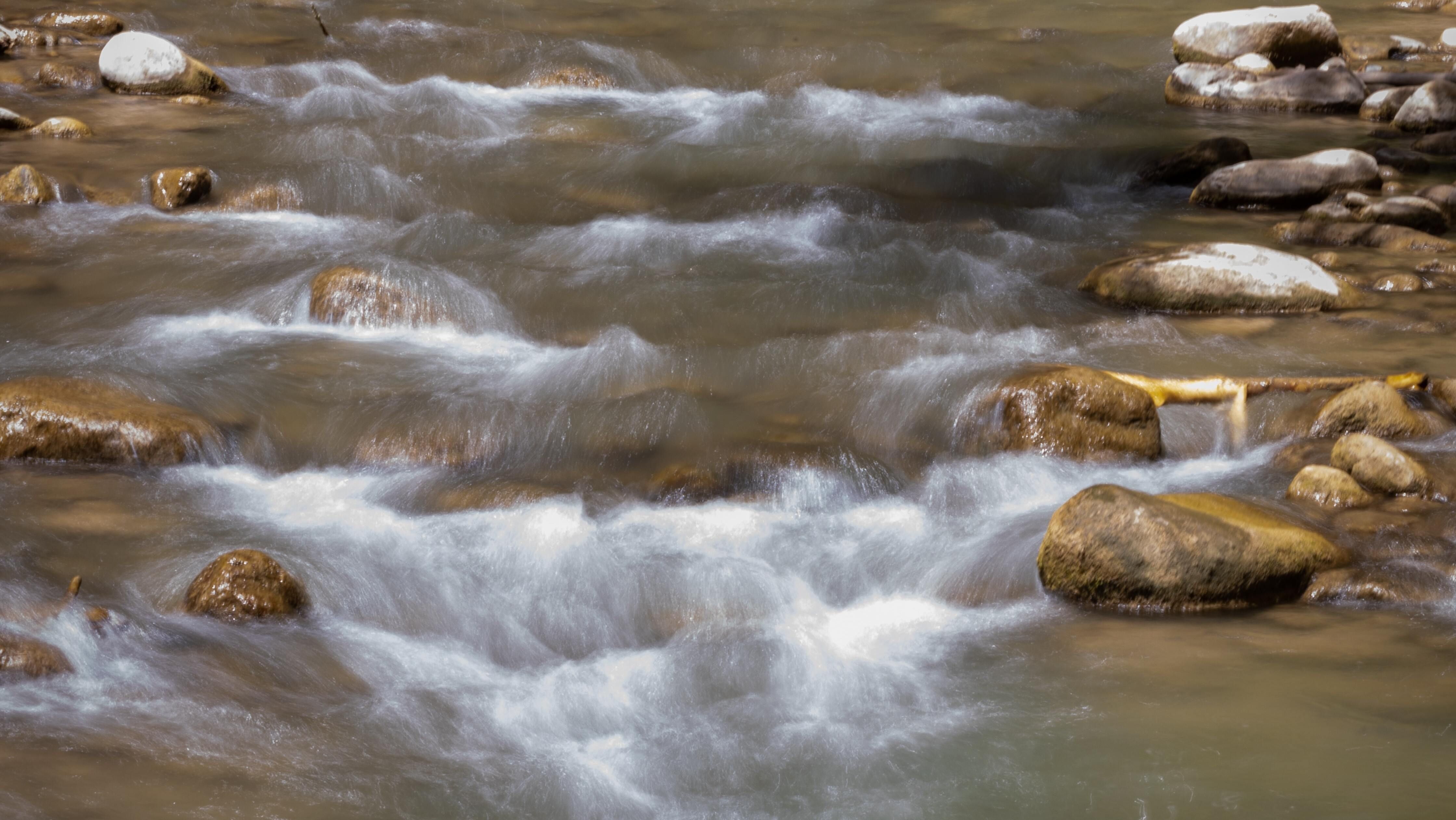 Яке свято 23 червня Яке свято 23 червня