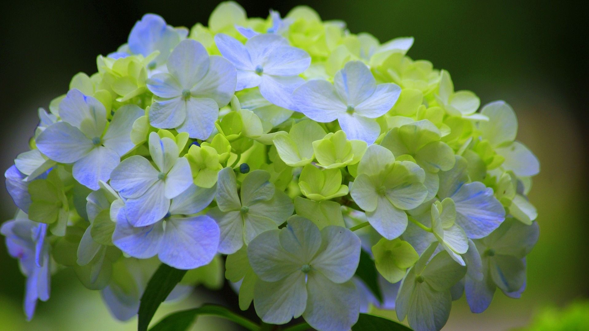 Какой праздник 25 июня Какой праздник 25 июня