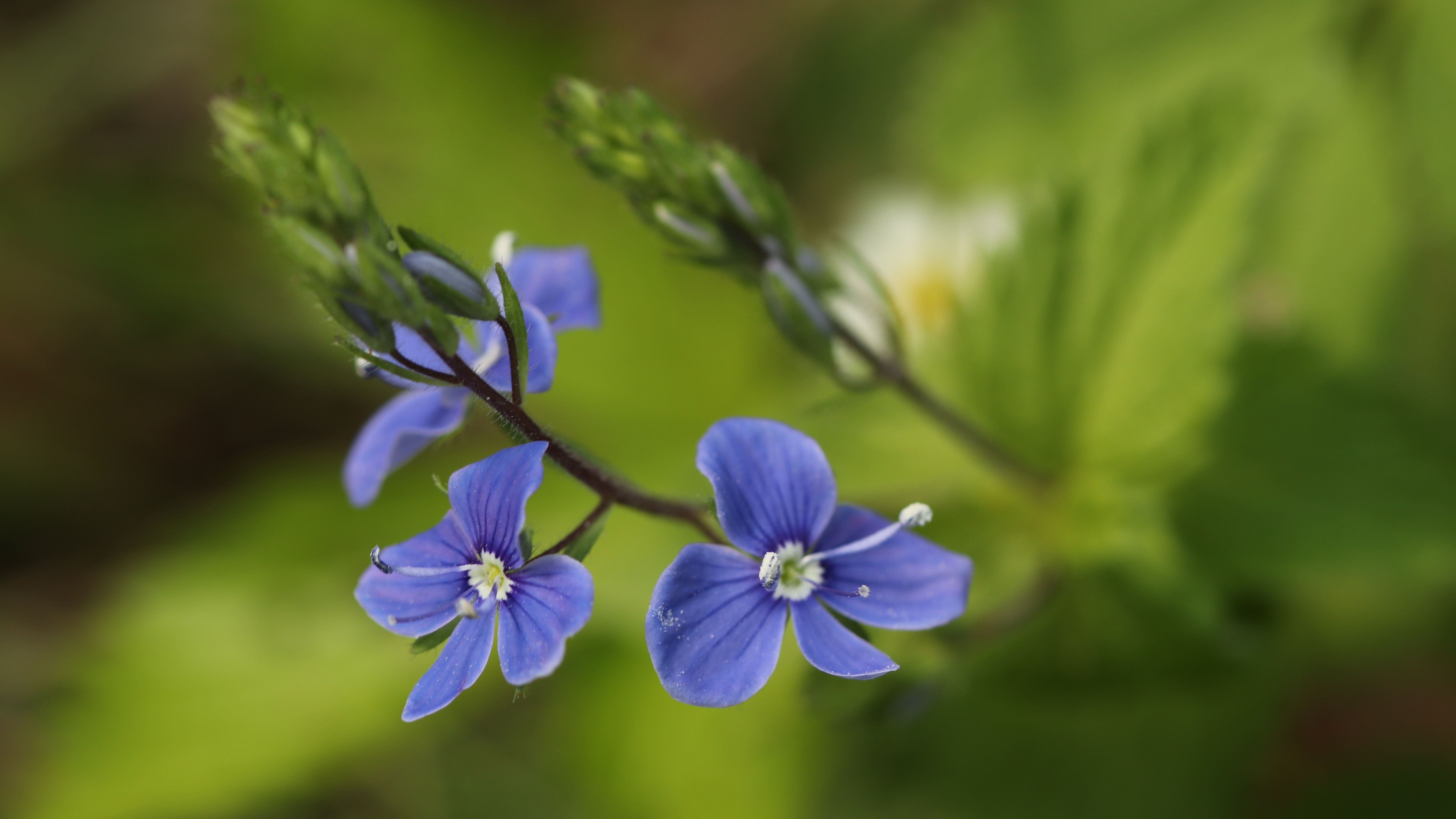 Яке свято 27 червня Яке свято 27 червня