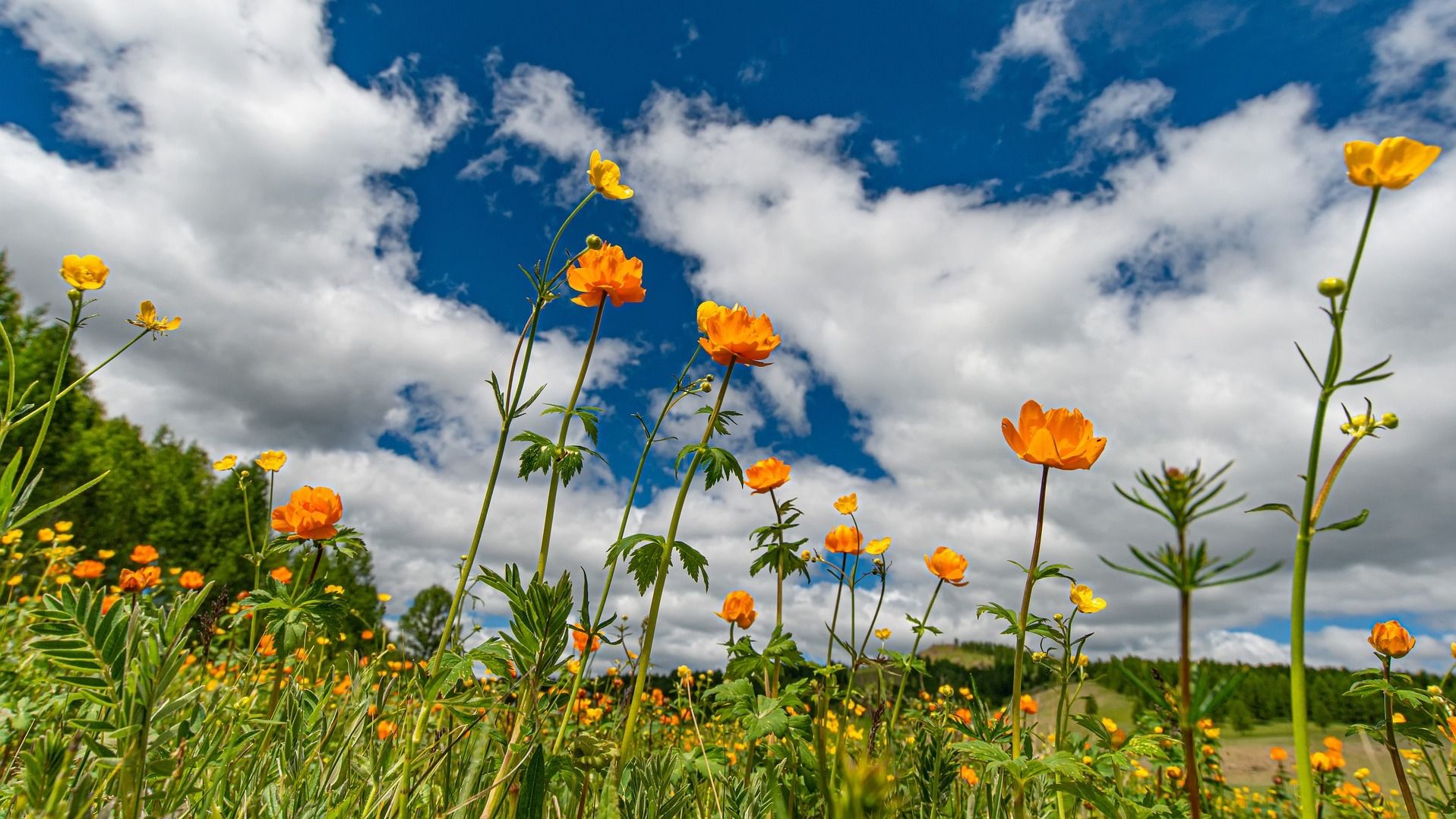Яке свято 28 червня Яке свято 28 червня