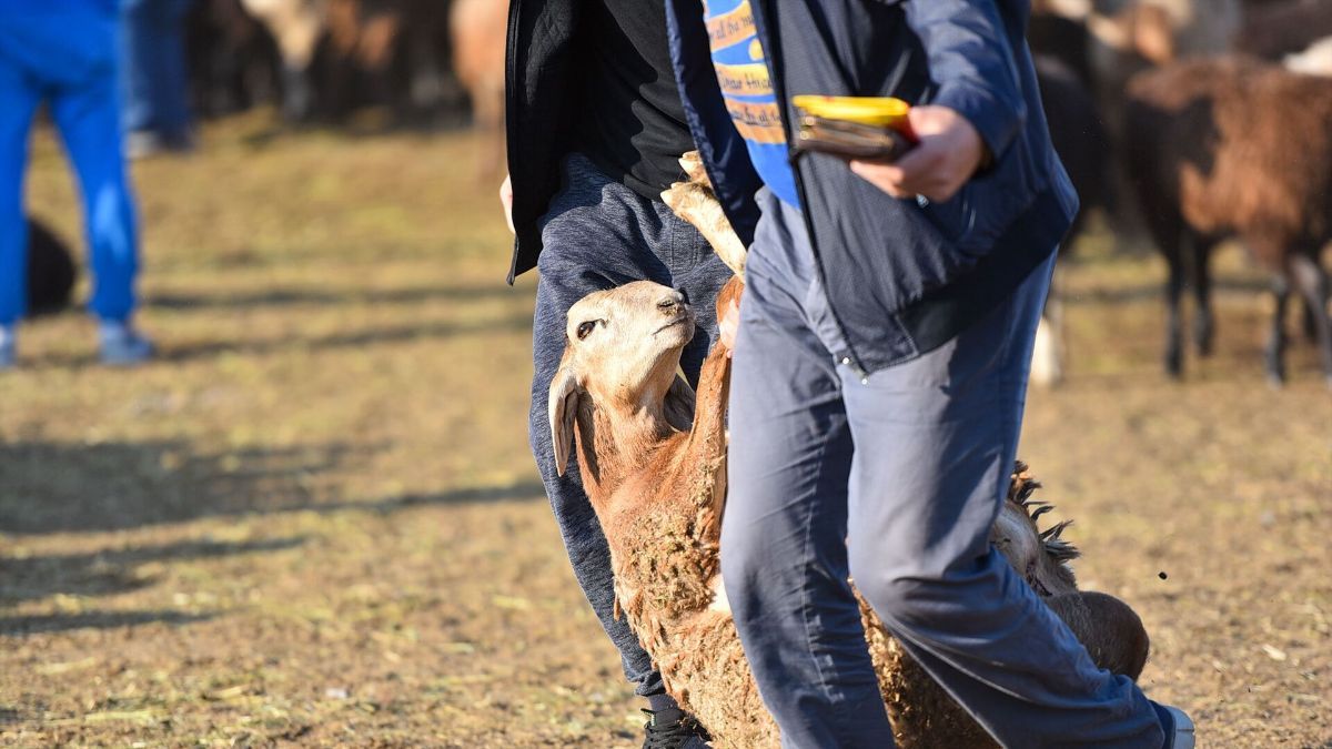 Що таке Курбан-байрам Що таке Курбан-байрам