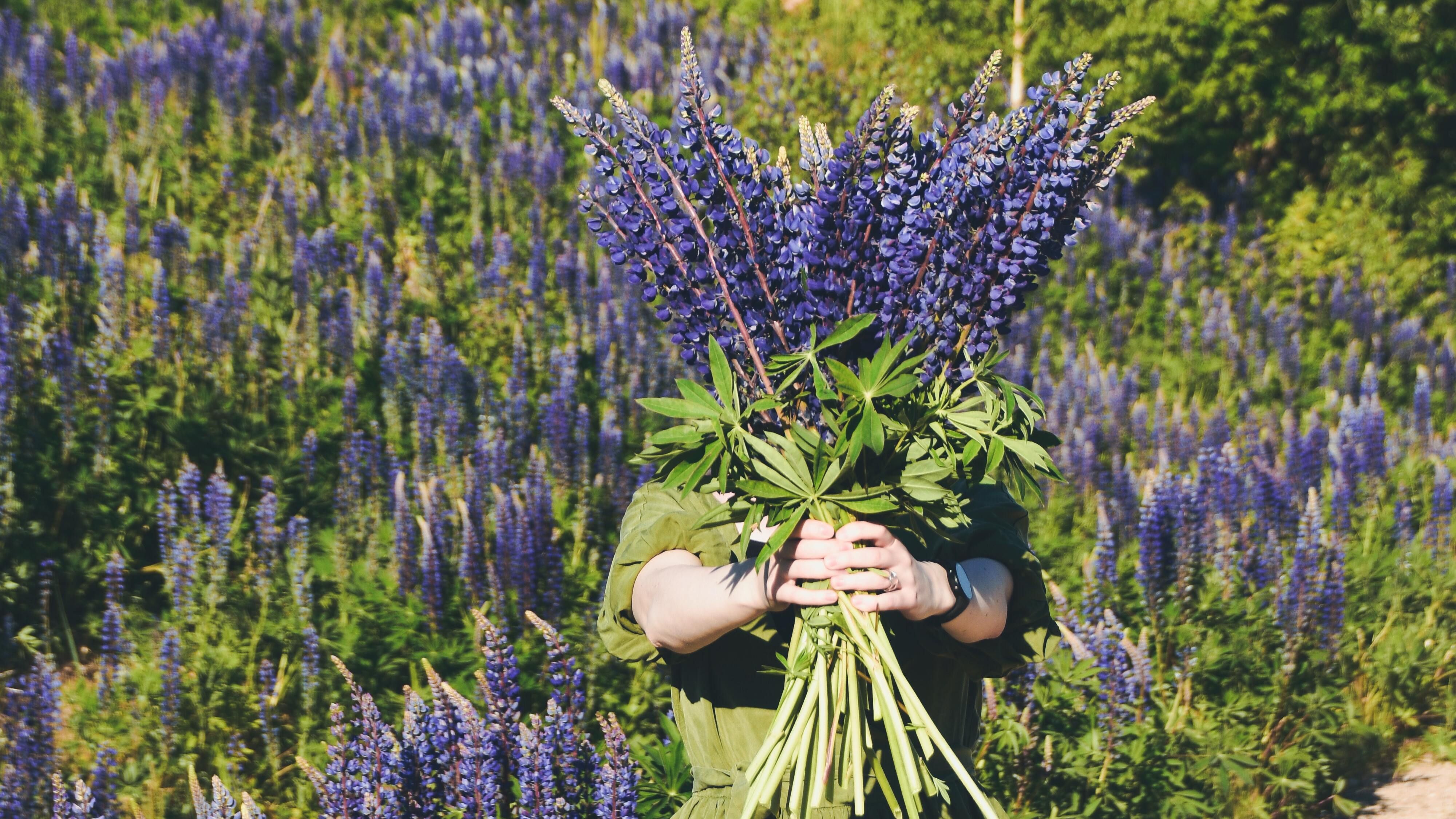 Яке свято 30 червня Яке свято 30 червня