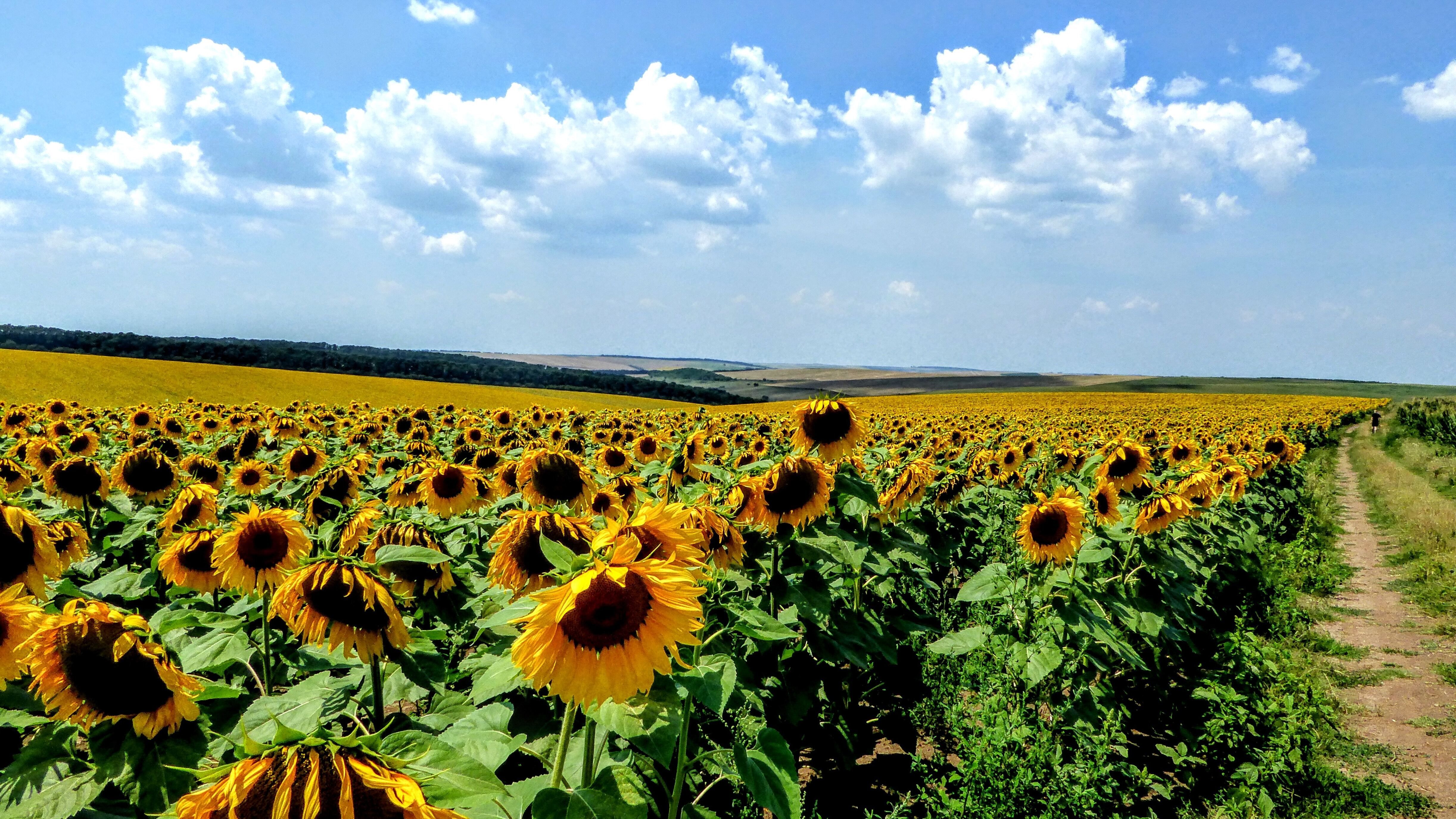 Какой праздник 3 июля Какой праздник 3 июля