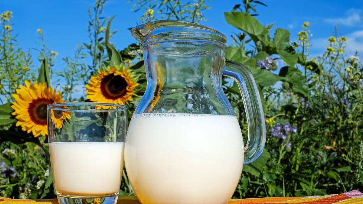 Які рослини не можна поливати молоком