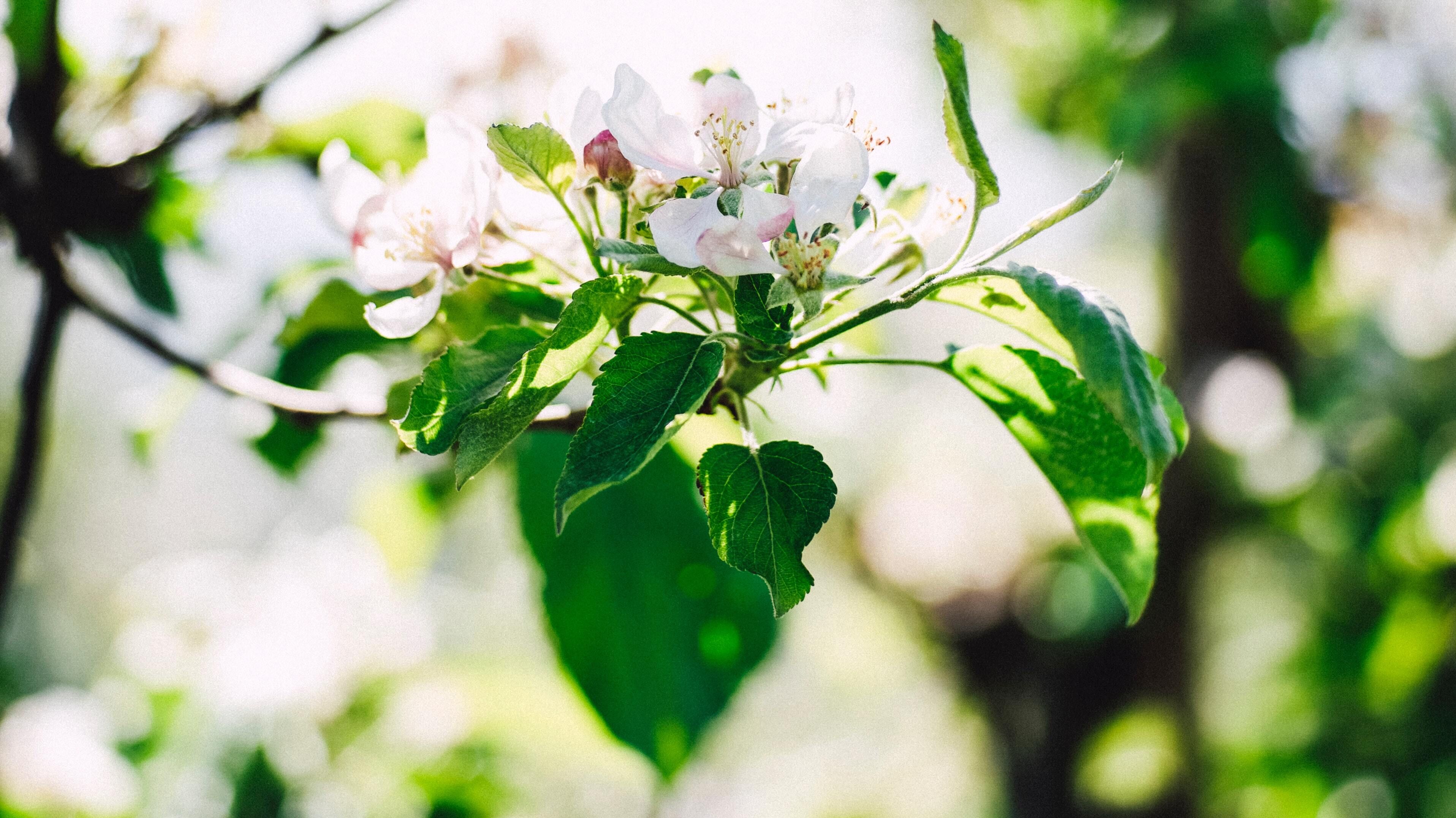 Какой праздник 11 июля Какой праздник 11 июля
