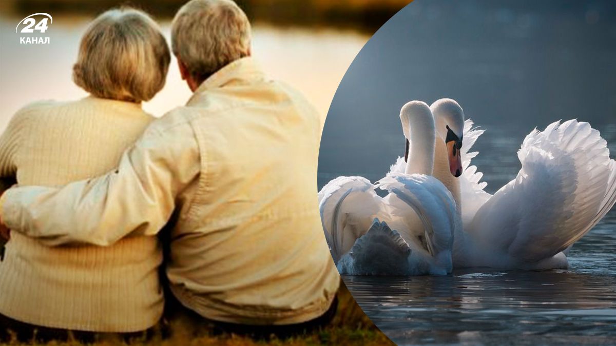 Які знаки зодіаку є найвірнішими - 24 канал Які знаки зодіаку є найвірнішими - 24 канал