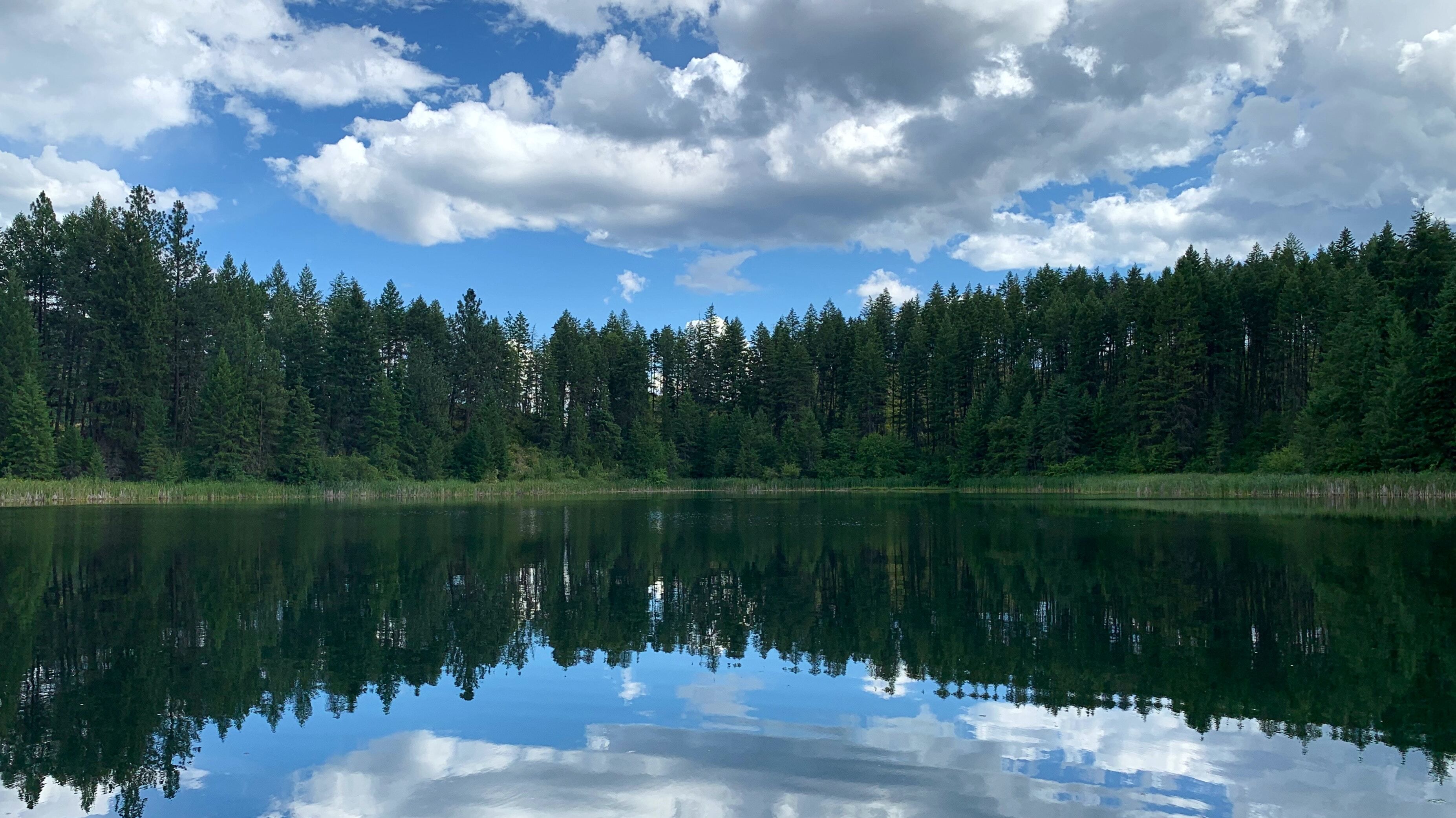 15 июля 15 июля