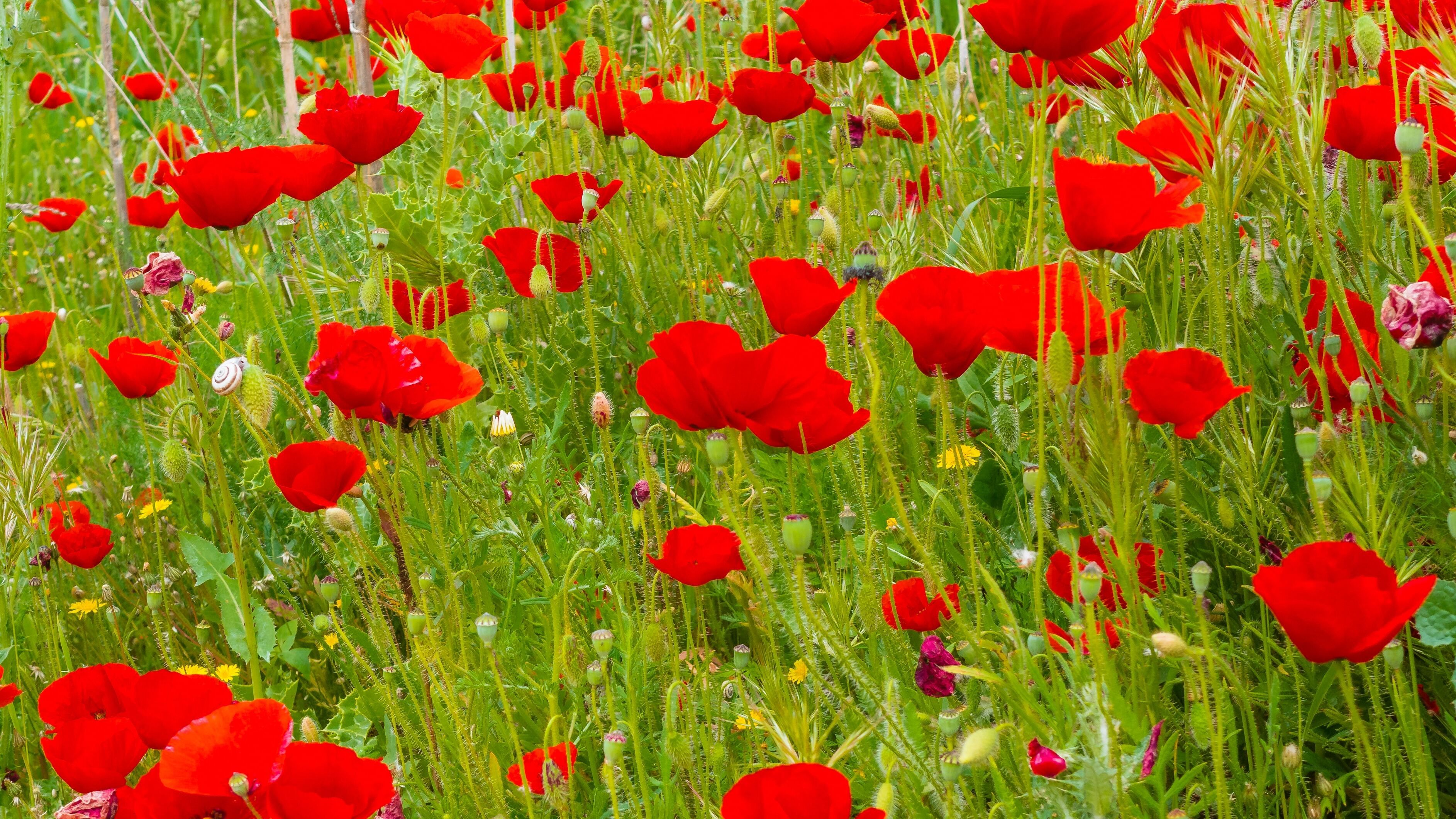 Какой праздник 19 июля Какой праздник 19 июля