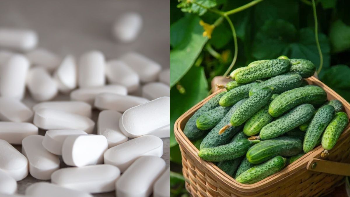 Аспірин для огірків Аспірин для огірків