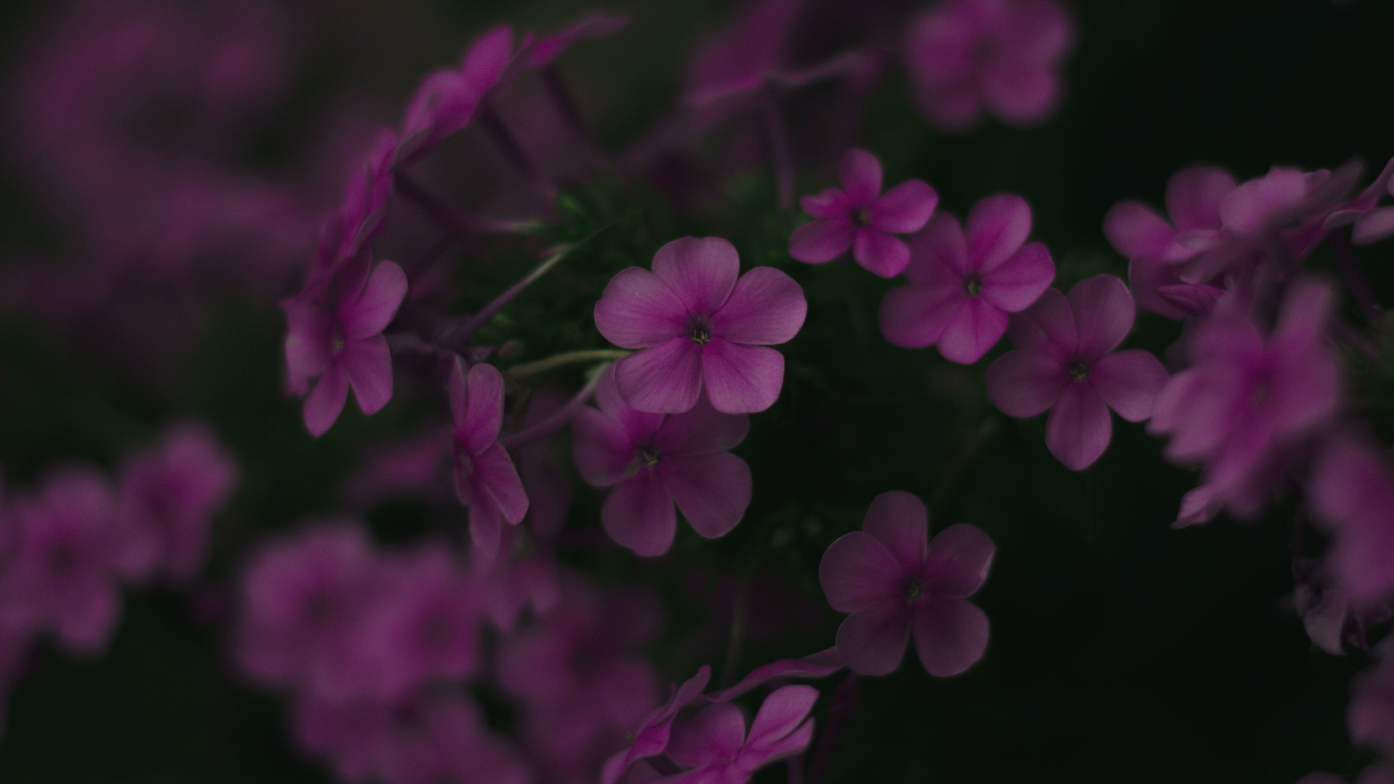 Яке свято 22 липня Яке свято 22 липня