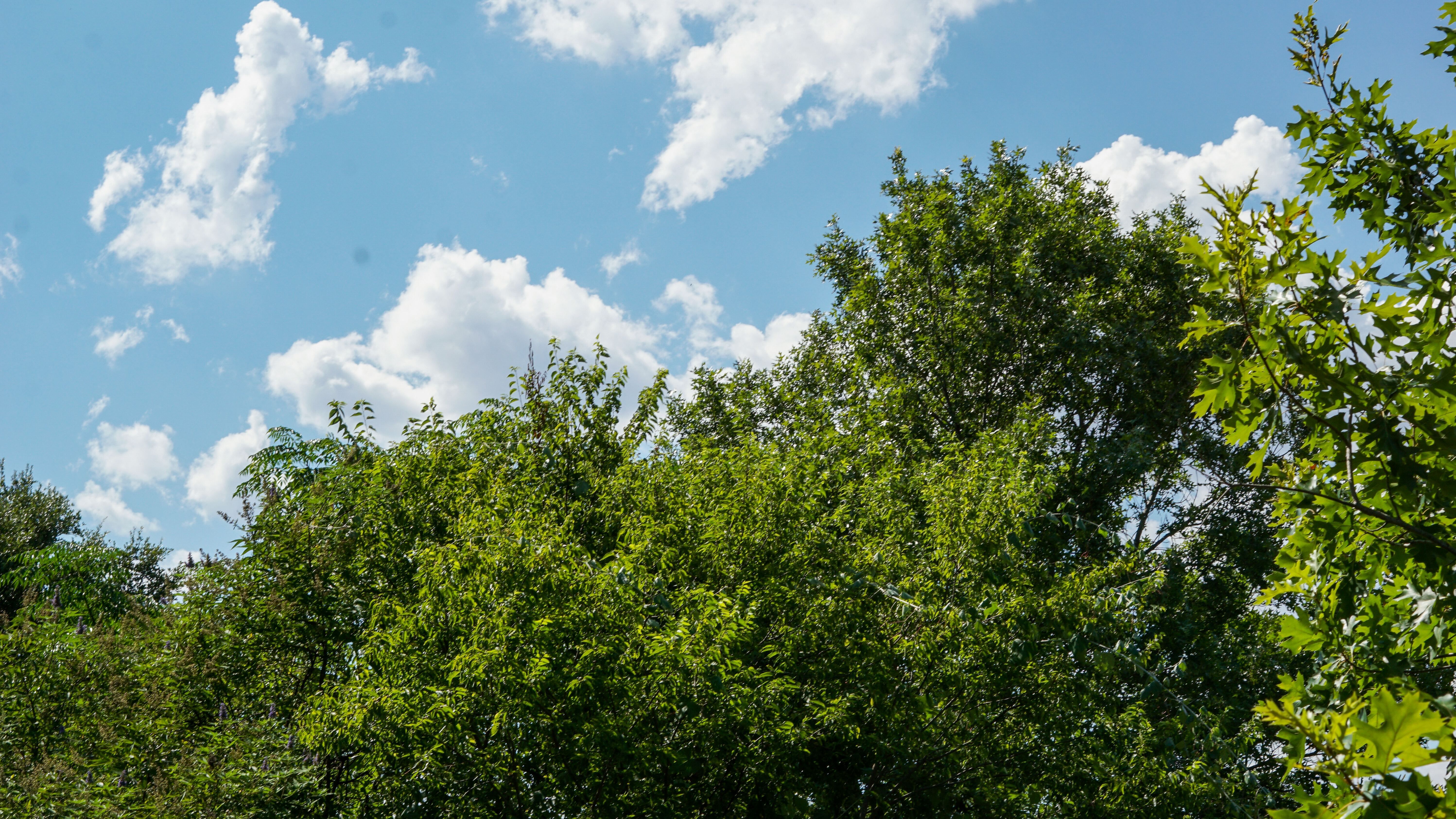 Какой праздник 24 июля Какой праздник 24 июля