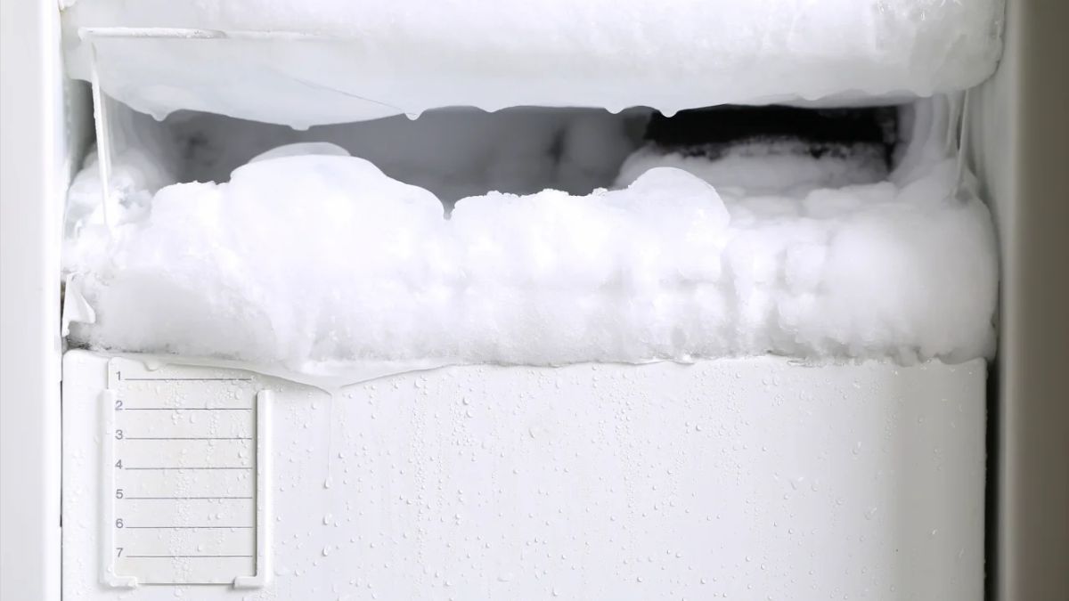 Как правильно разморозить морозильную камеру Как правильно разморозить морозильную камеру