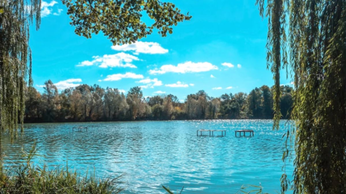 31 липня 2023 в Україні – яке свято та що не можна робити 31 липня 2023 в Україні – яке свято та що не можна робити