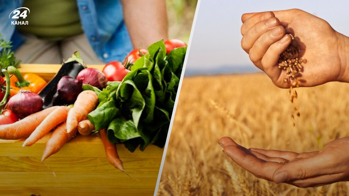 знаки зодіаку, які отримають найкращий врожай - Lifestyle 24 знаки зодіаку, які отримають найкращий врожай - Lifestyle 24