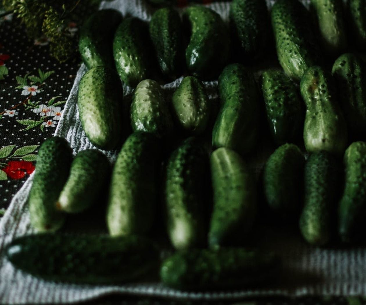 Що робити, що огірки знову позеленіли – приготуйте ефективний засіб проти жовтизни листя 