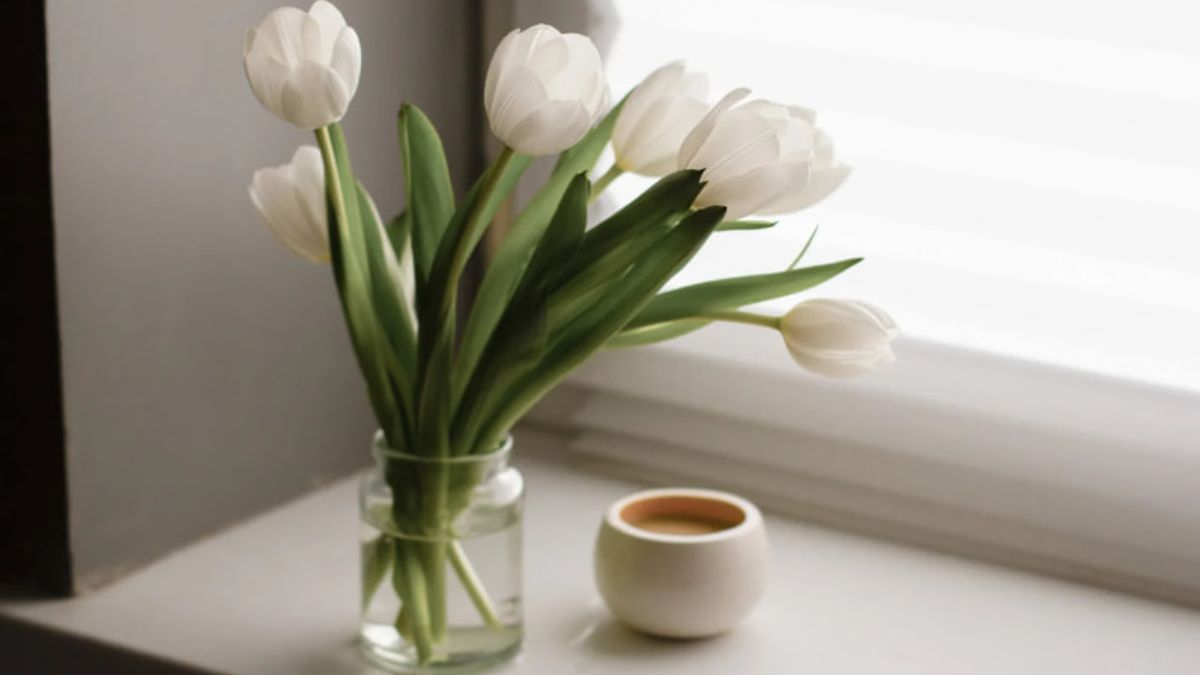 Как отмыть подоконник содой, перекисью водорода и средством для мытья посуды Как отмыть подоконник содой, перекисью водорода и средством для мытья посуды