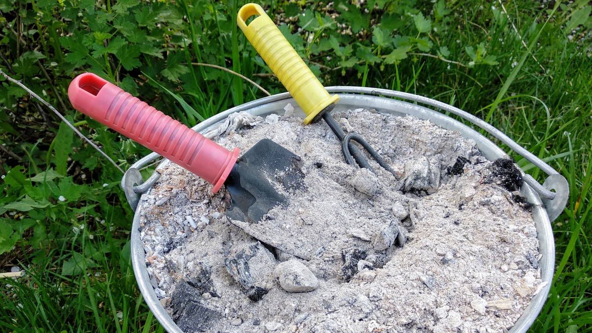 Какие растения любят пепел Какие растения любят пепел