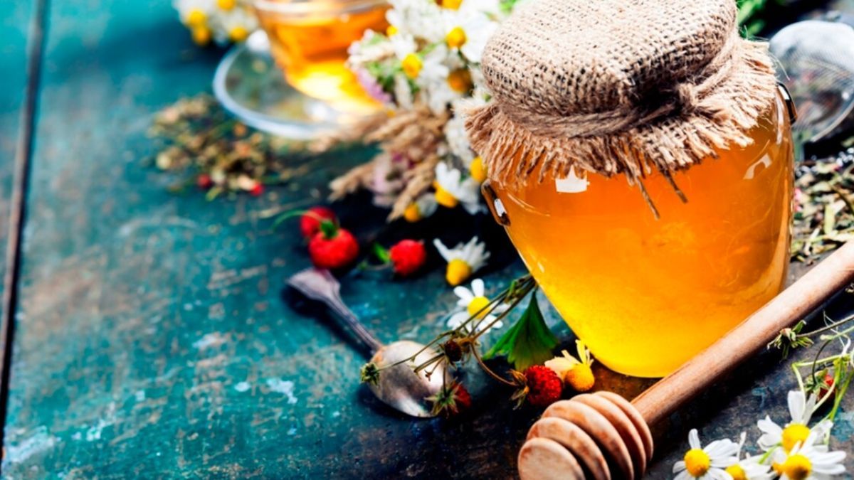 Що святять на Маковея – список продуктів, які покласти в кошик на Медовий Спас Що святять на Маковея – список продуктів, які покласти в кошик на Медовий Спас