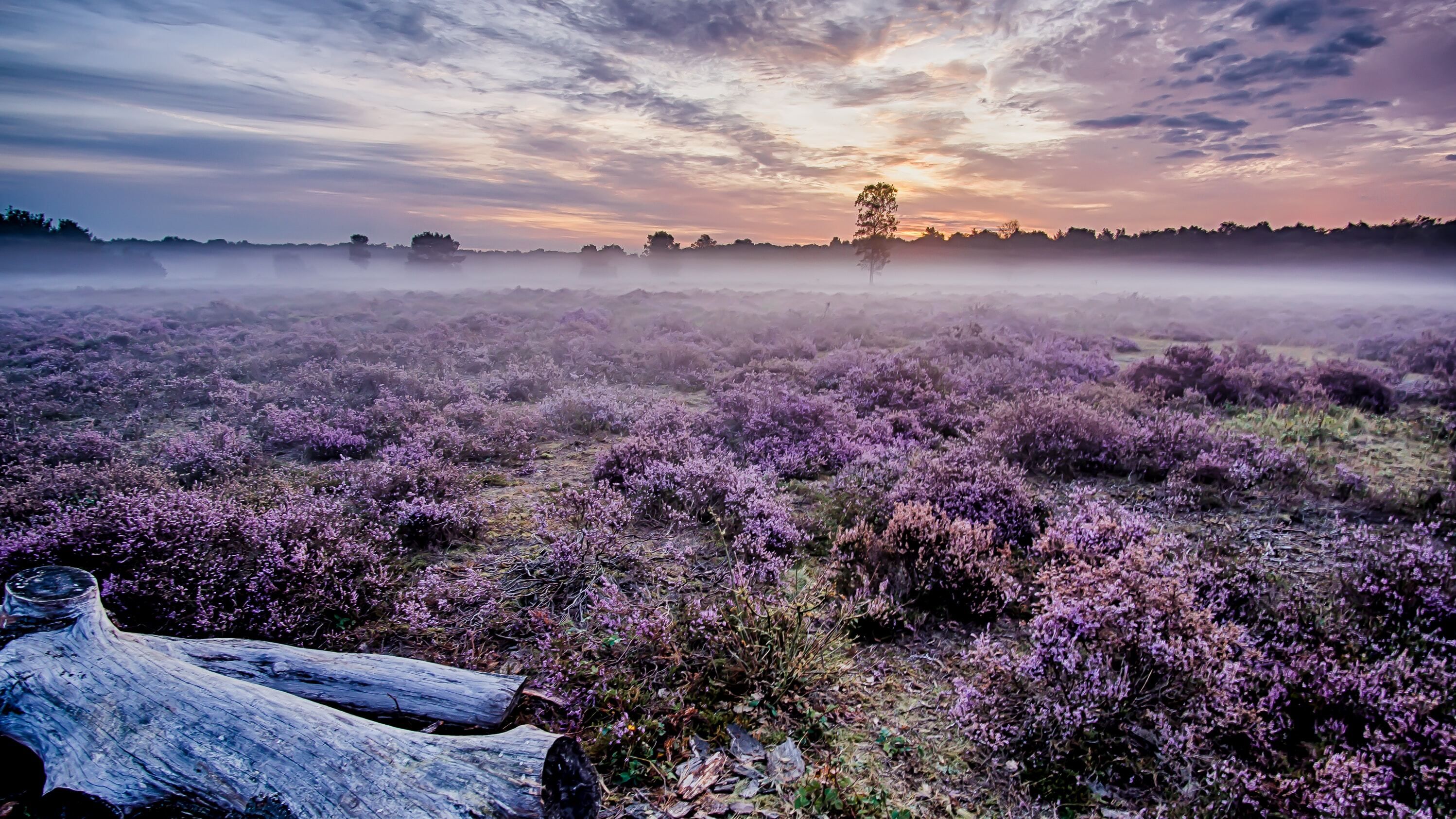 Какой праздник 13 августа Какой праздник 13 августа