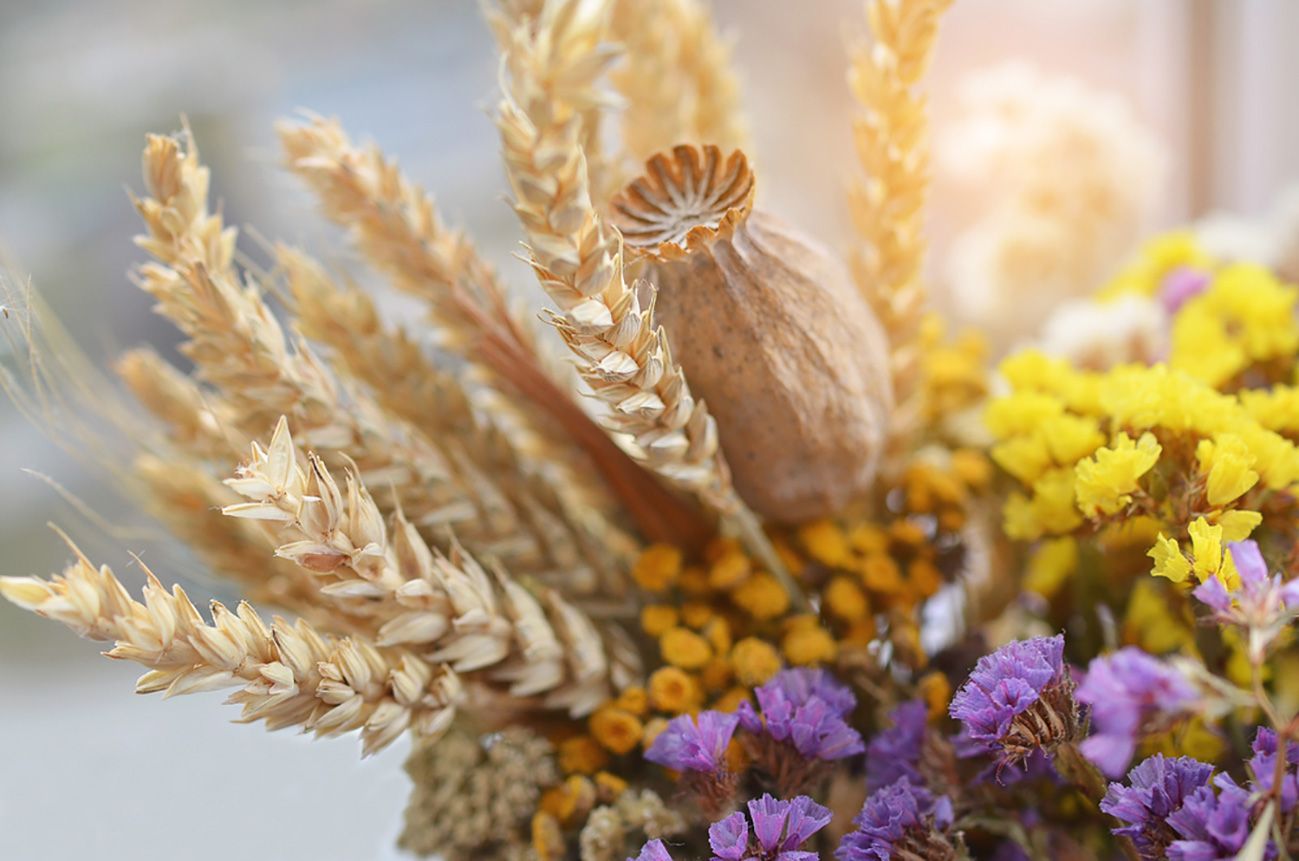 Маковійчик - як зібрати букет на Спас Маковійчик - як зібрати букет на Спас