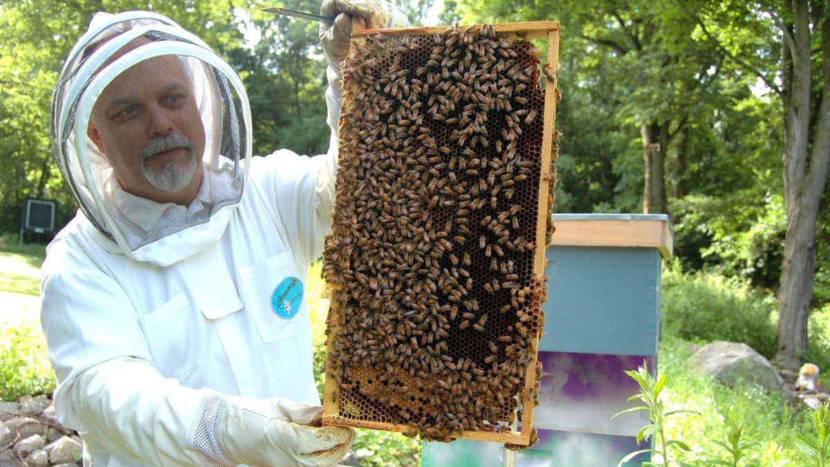 День пчеловода 2023 День пчеловода 2023