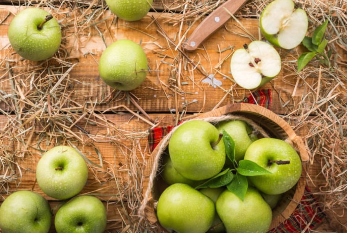 Яблочный Спас – что нельзя делать, что можно делать
