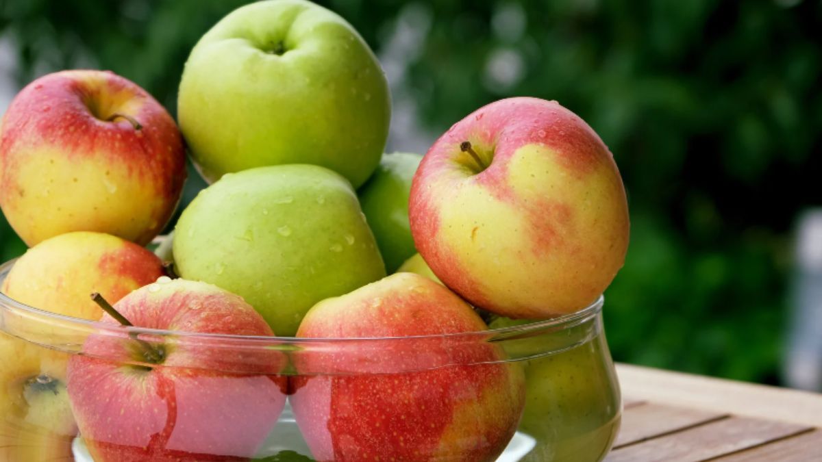 Спаса поздравления – открытки, картинки с Яблочным Спасом 2023 Спаса поздравления – открытки, картинки с Яблочным Спасом 2023