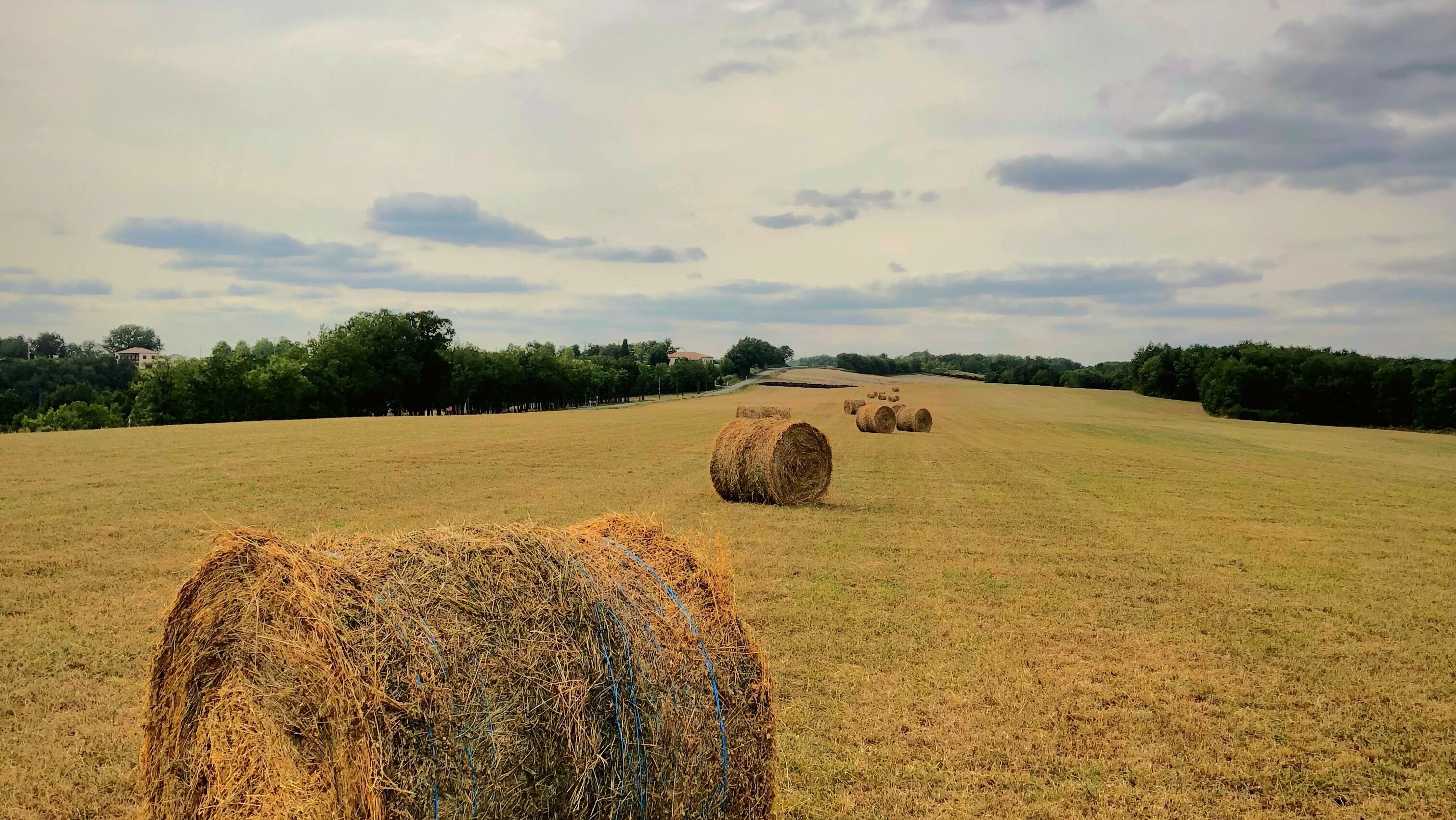 Яке свято 23 серпня Яке свято 23 серпня