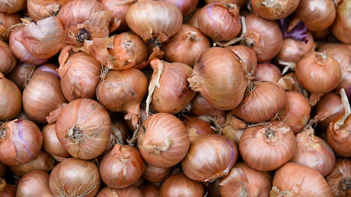 Як зберігати цибулю вдома Як зберігати цибулю вдома