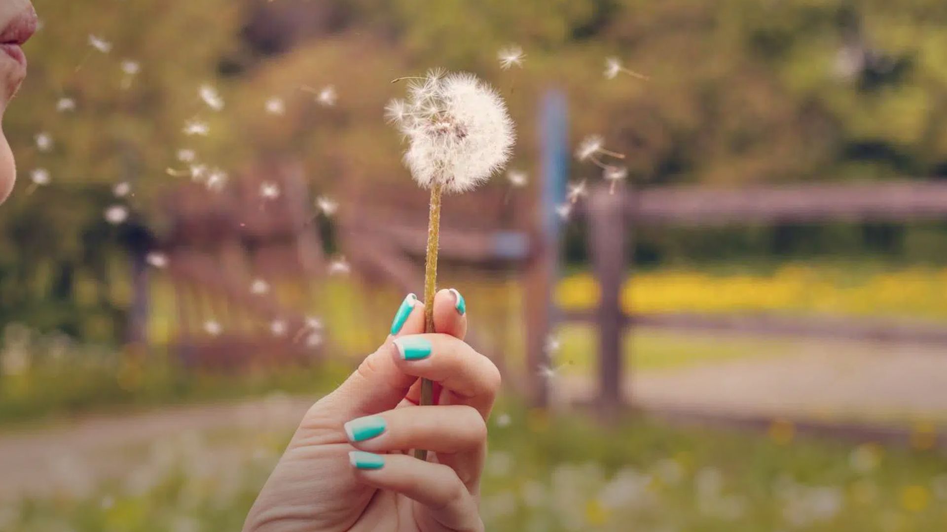 гороскоп на сегодня - Lifestyle 24 гороскоп на сегодня - Lifestyle 24